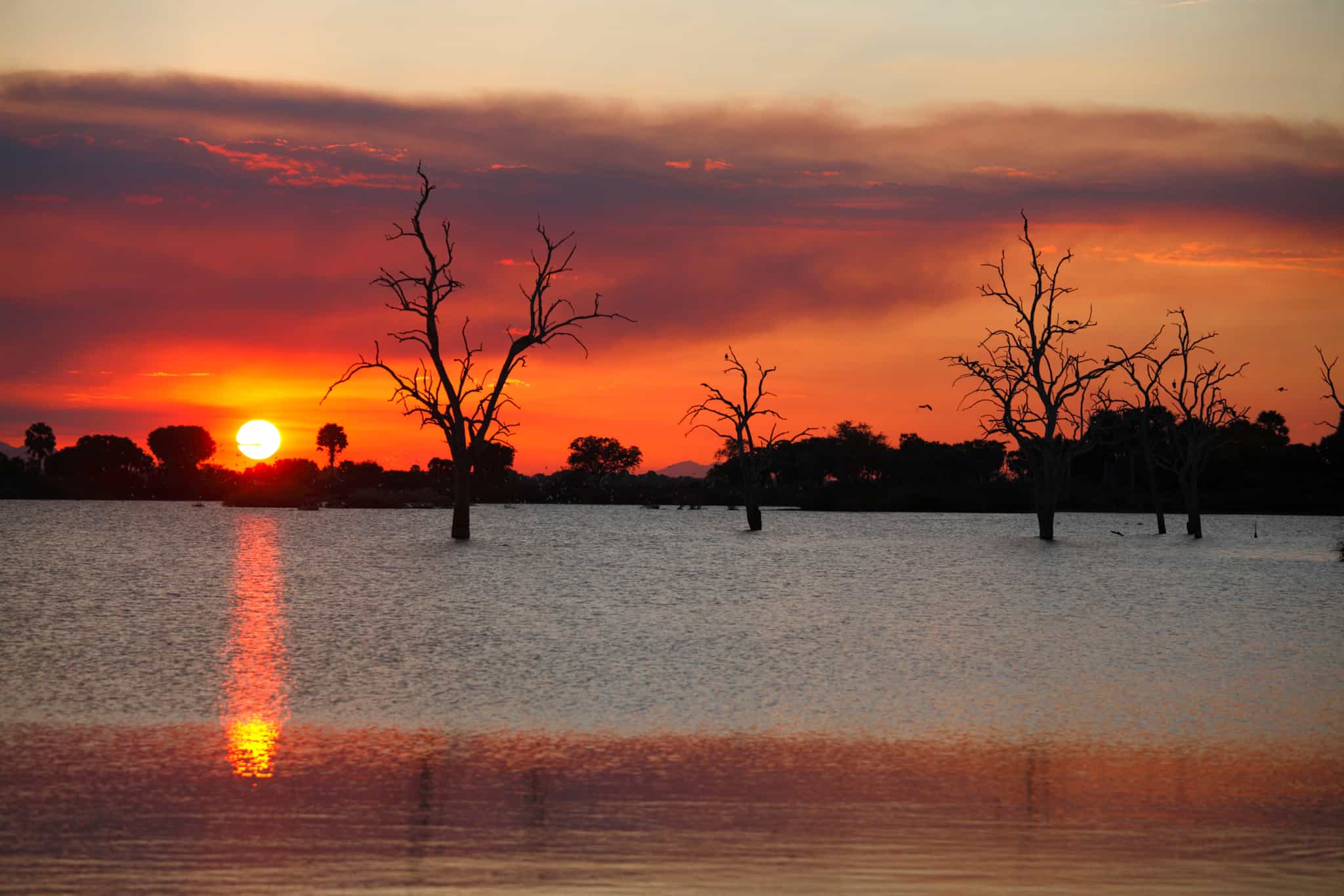 Lake Tagalala, Nyerere National Park, Tanzania. Photo: Shutterstock 2633440721
