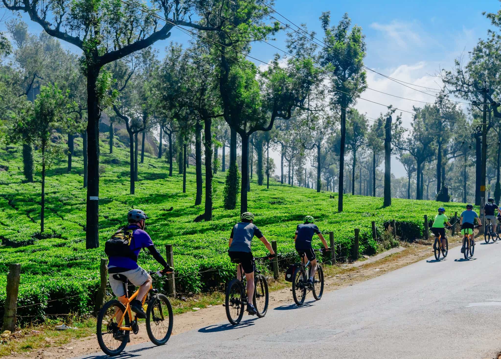 Kerala India Tea Estates Cycling Photo: Host/Kalypos Adventures