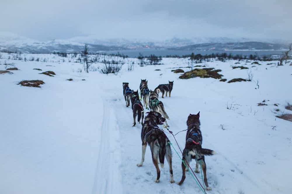 Inspiring Change, One Arctic Adventure at a Time