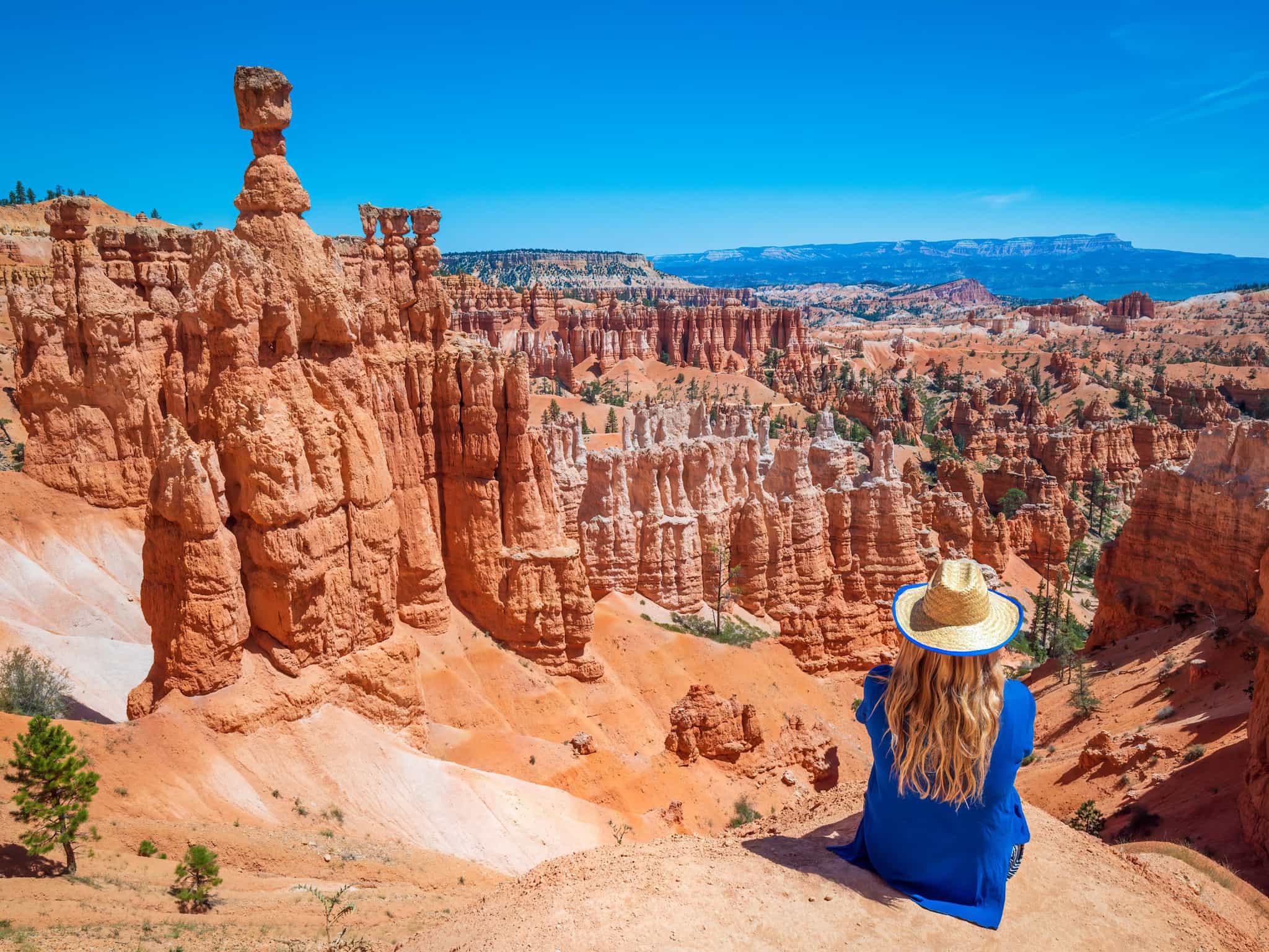 Bryce Canyon National Park, Utah, USA. Photo: shutterstock_1636363627