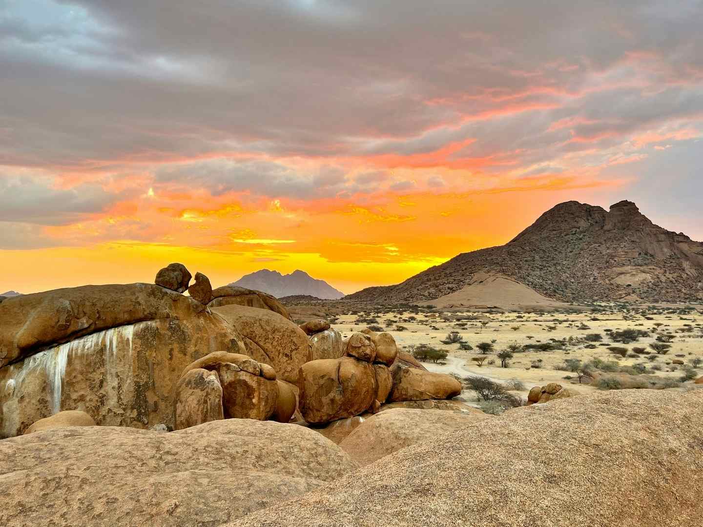 Cycle, Safari and Stargaze in Namibia | Much Better Adventures