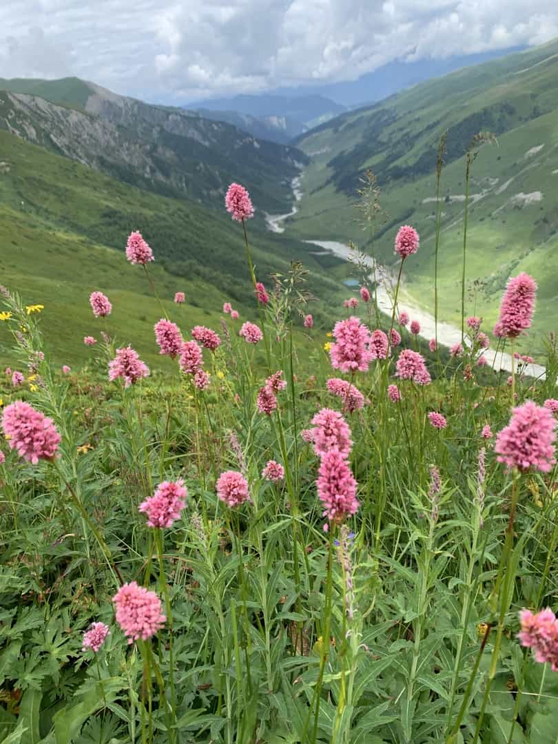 Beautiful hiking with amazing guides