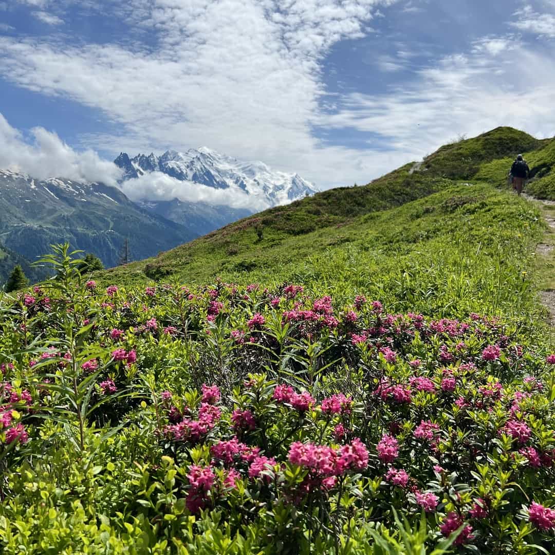 The Tour du Mont Blanc