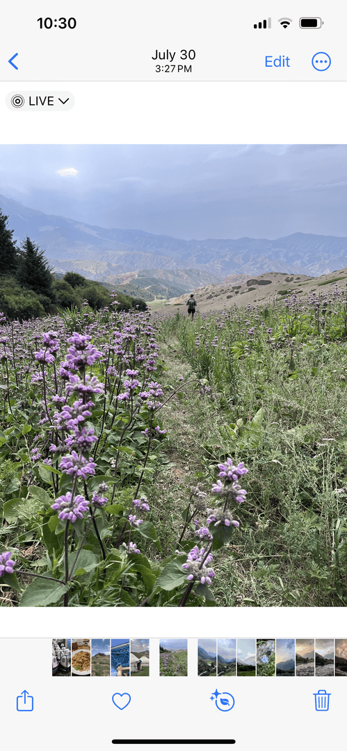 Superb Trip in the Tian Shan