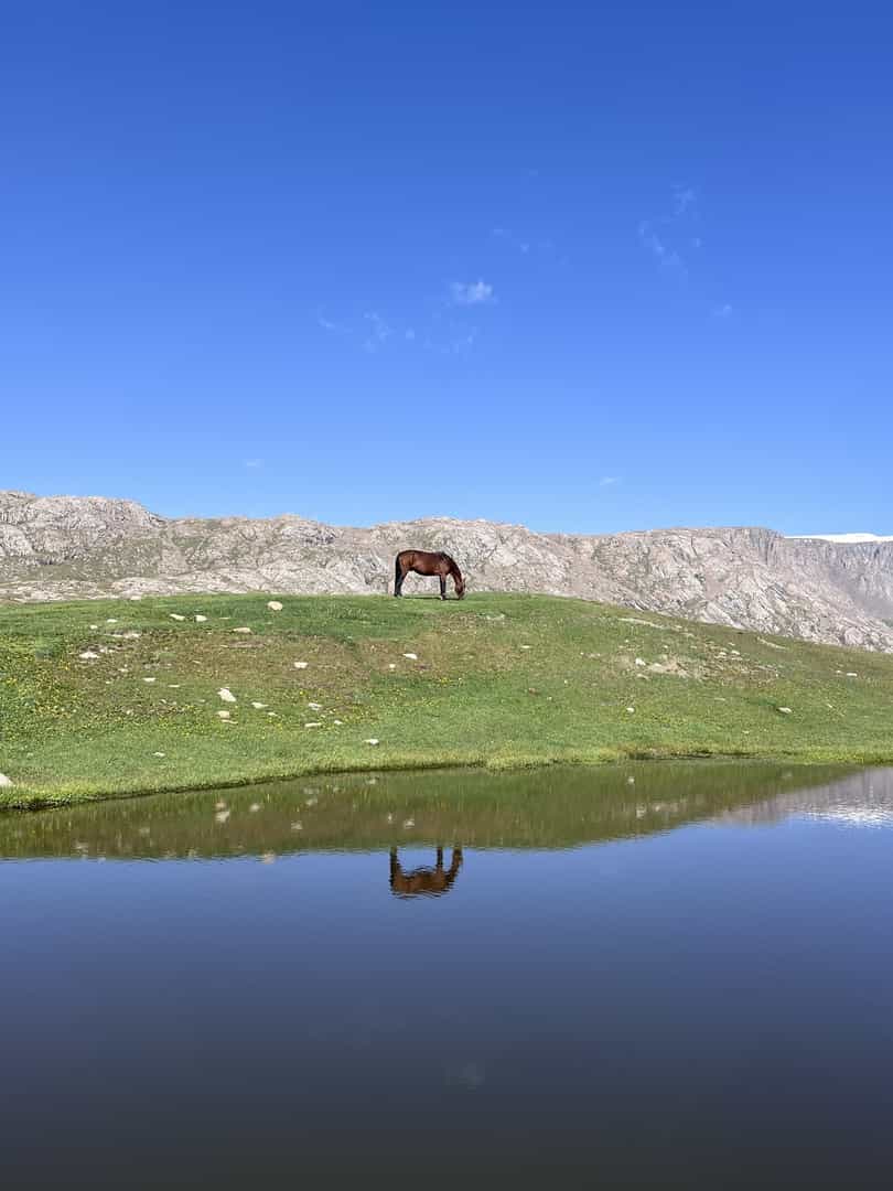 Superb Trip in the Tian Shan