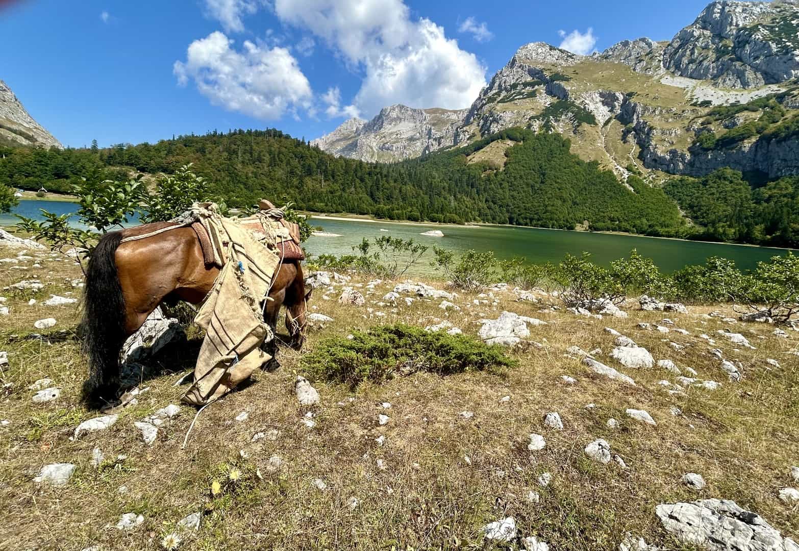 Bosnia and Montenegro explorer