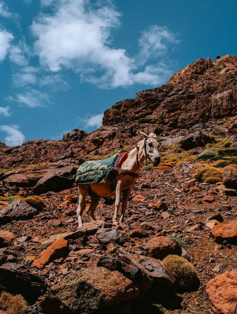 Mount Toubkal September 24