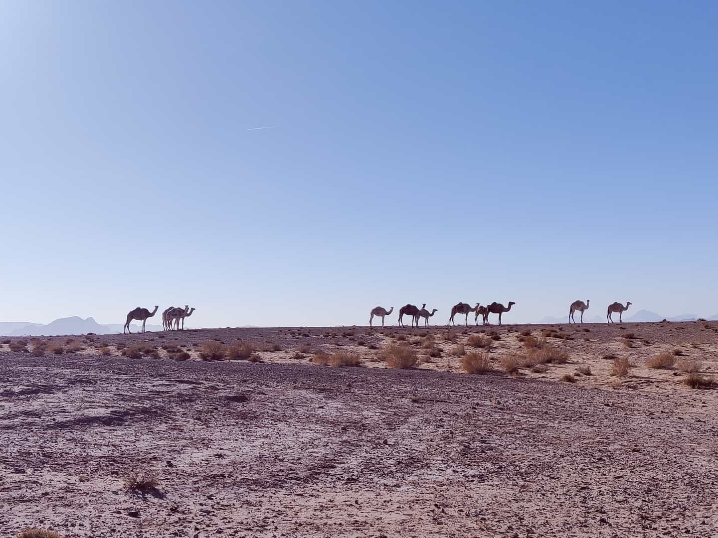 Epic mountains and dusty desert views