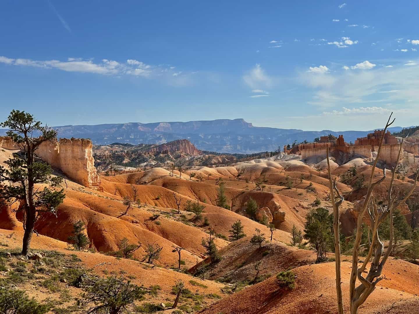 A perfect tour of the national parks of west USA!