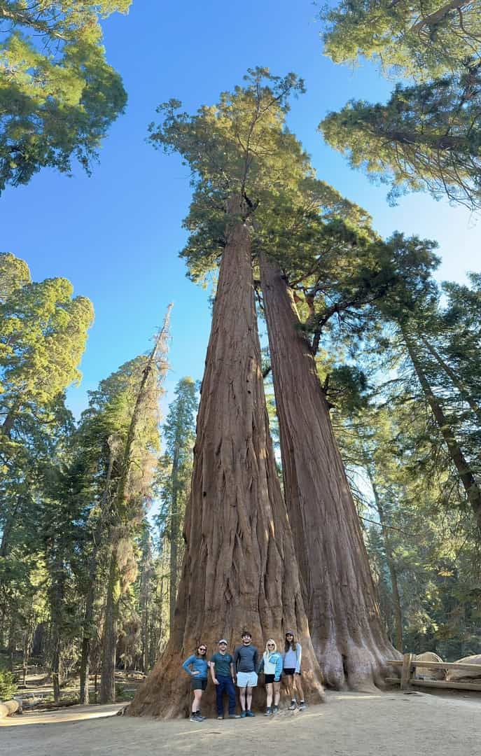 A perfect tour of the national parks of west USA!