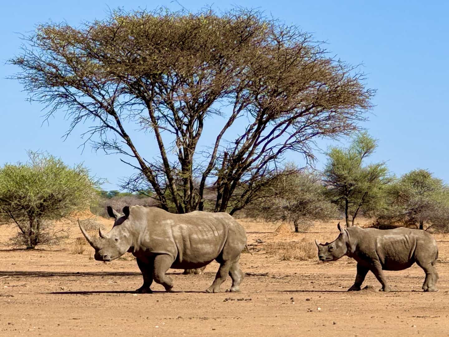 A fabulous and varied taste of Namibia