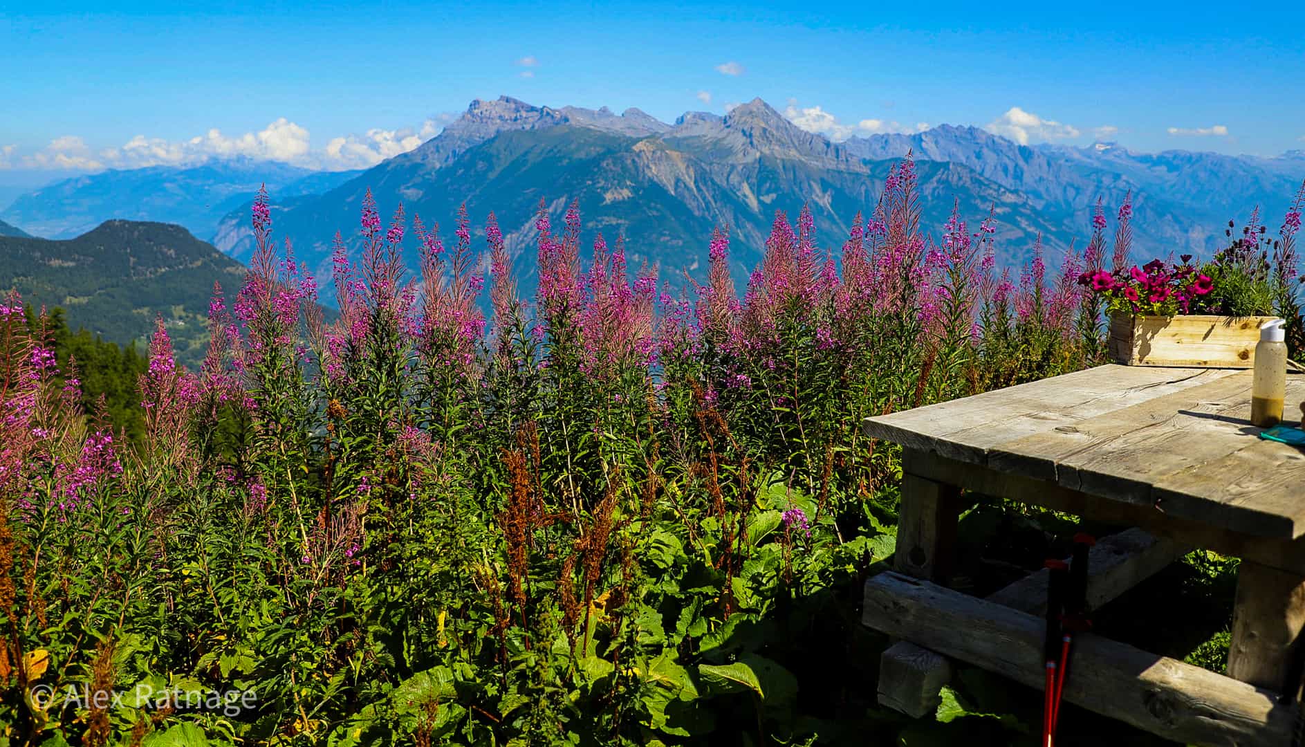 Tour Du Mont Blanc