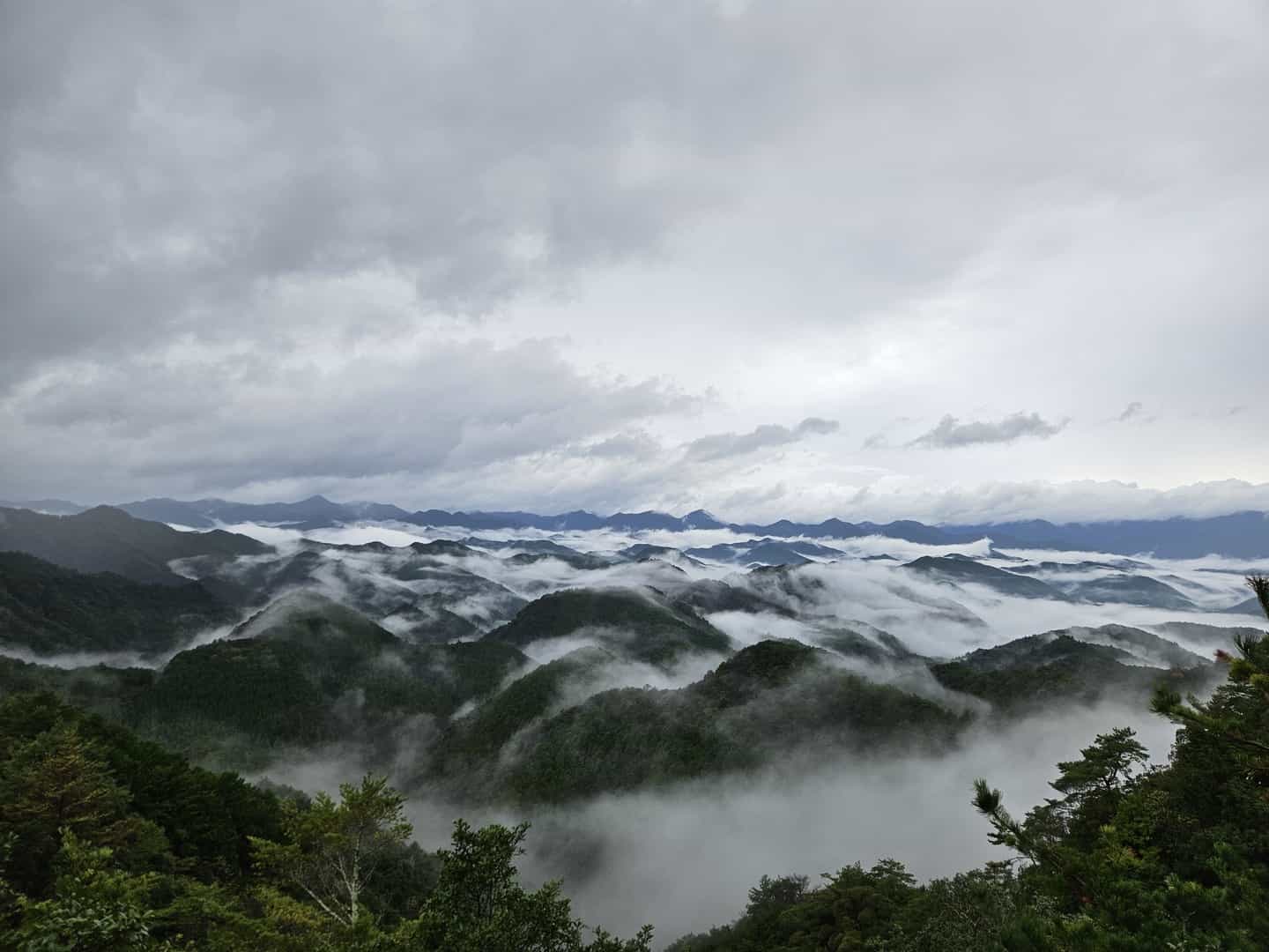 Wonderful adventure in Japan