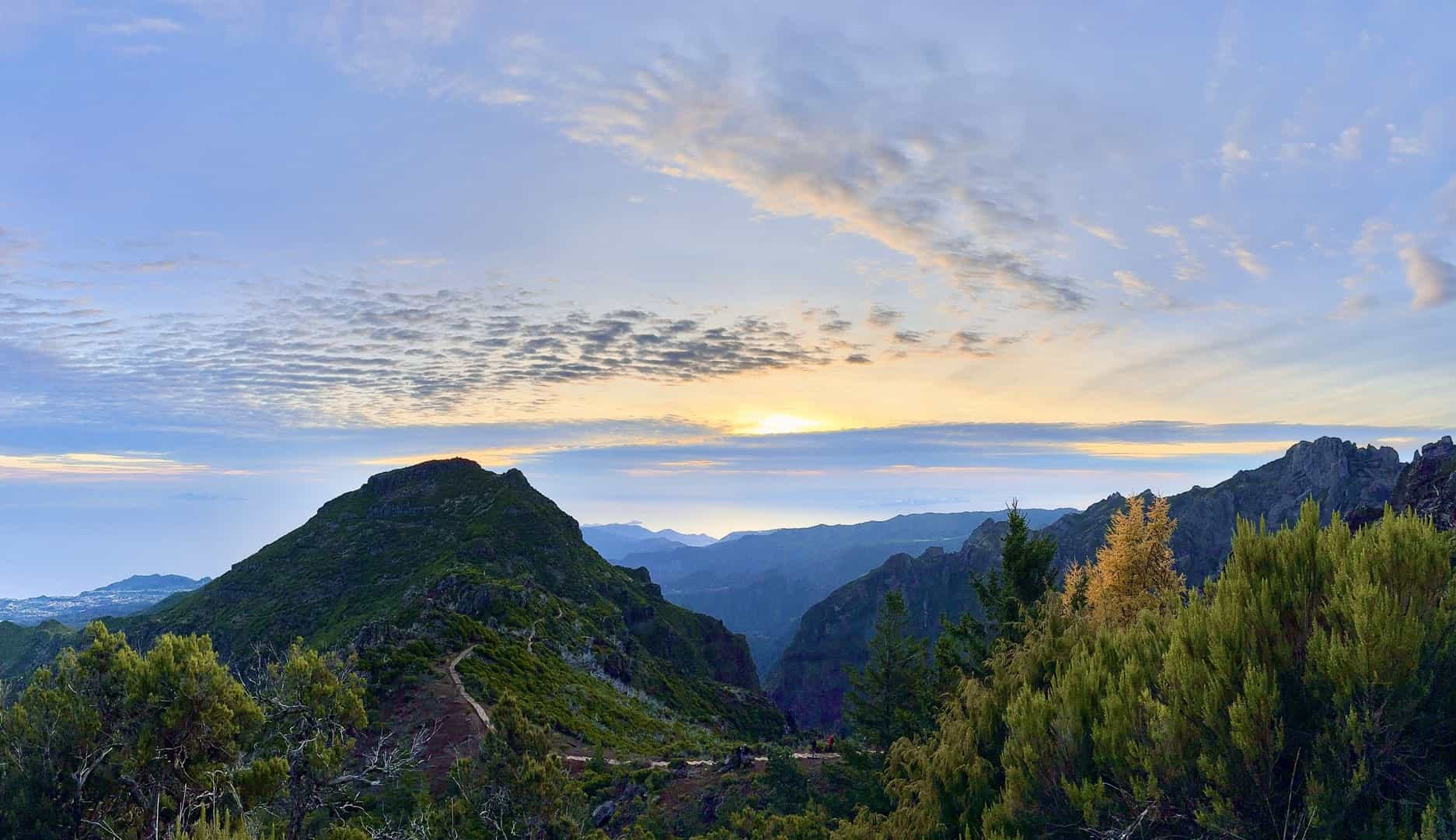 Madeira - My new happy place