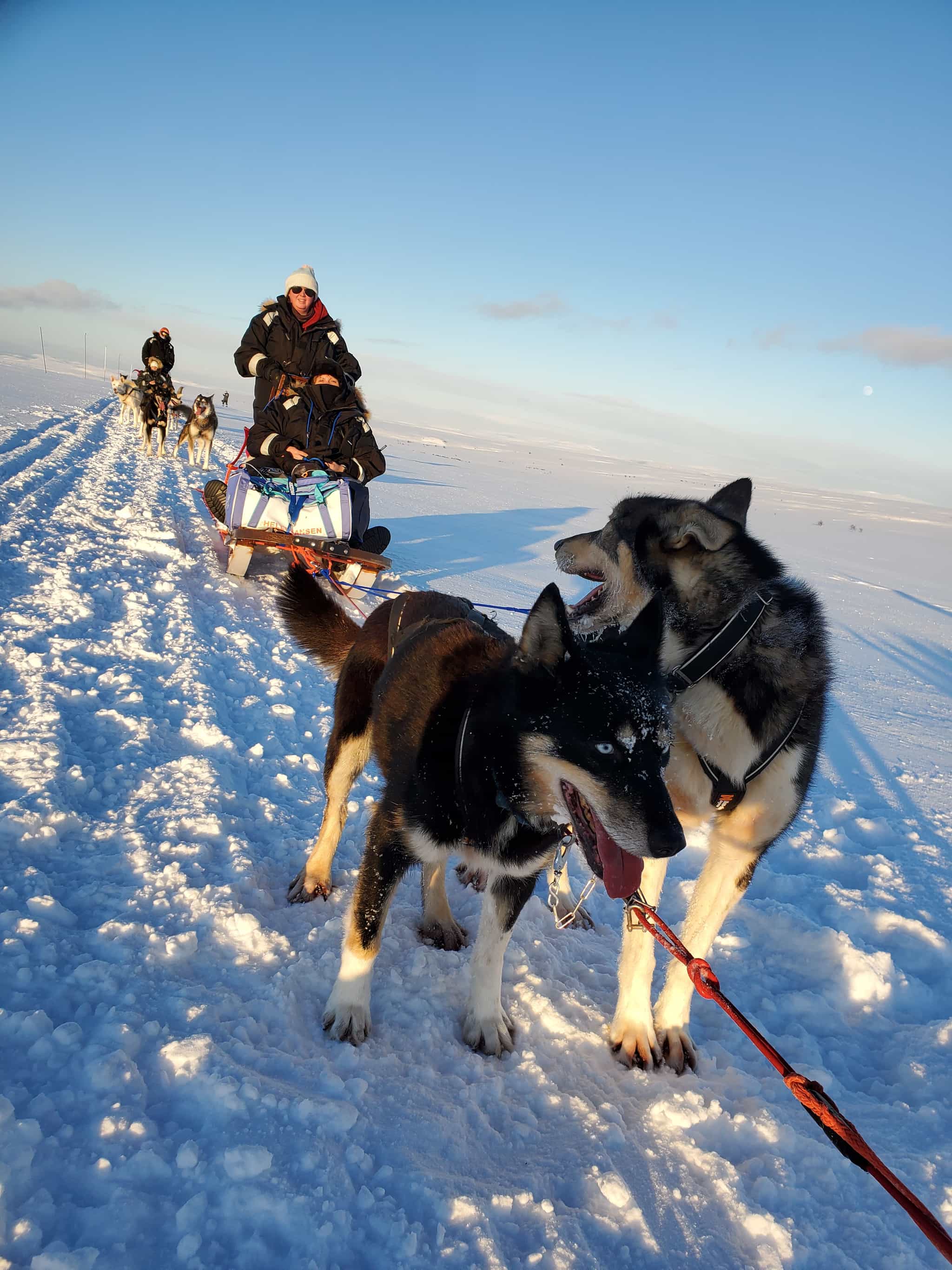 Husky Sled and Northern Lights Expedition | Much Better Adventures