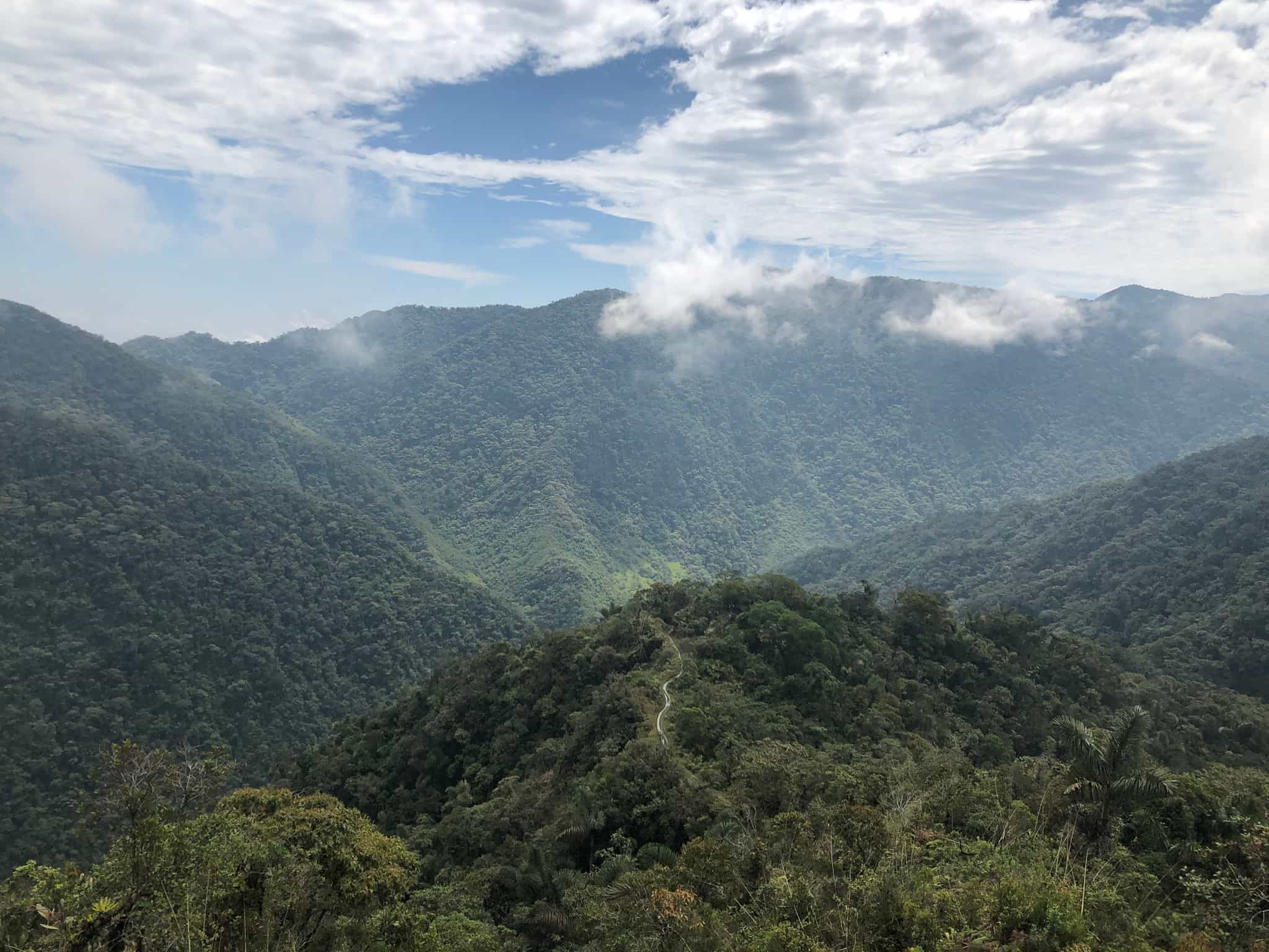 100km Jungle Expedition in the Heart of Colombia | Much Better Adventures