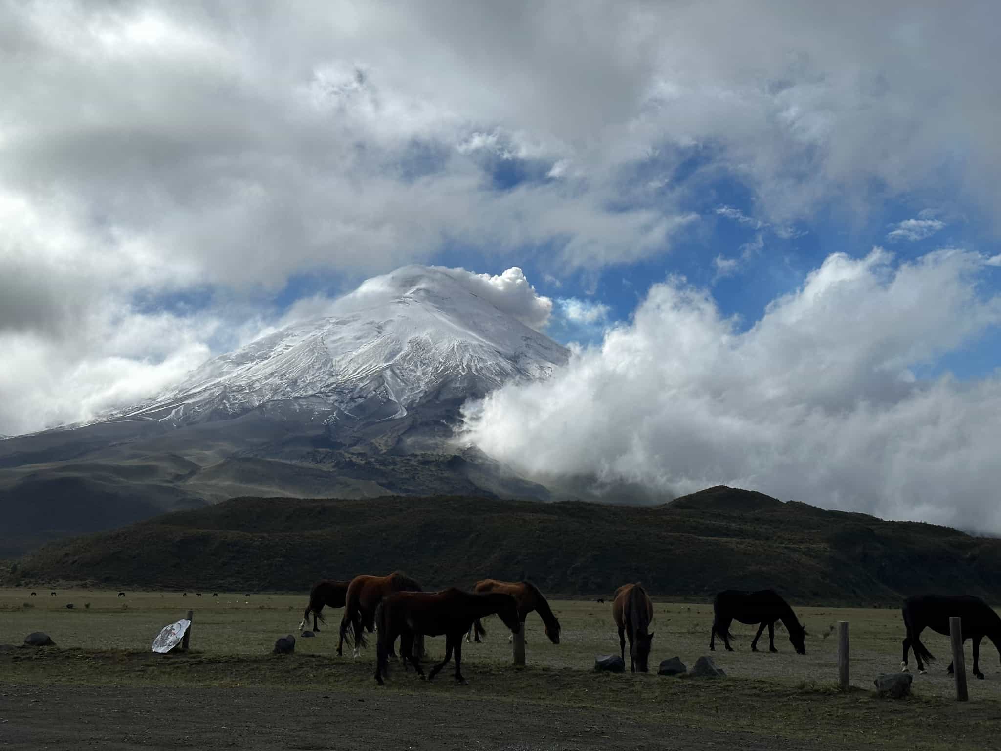 Trek Ecuadors Avenue Of Volcanoes And Climb Cotopaxi Much Better