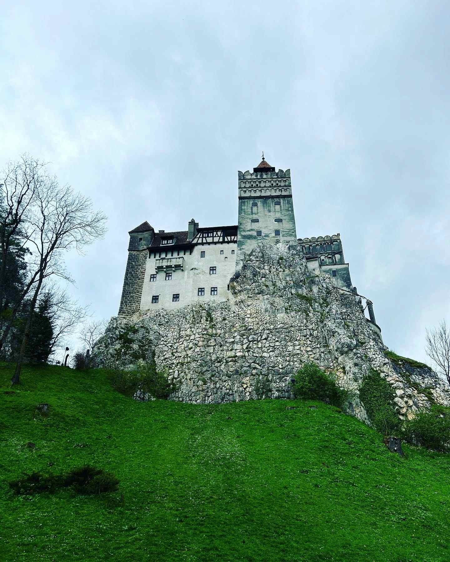 Bear Watching and Castle Hopping in Romania | Much Better Adventures