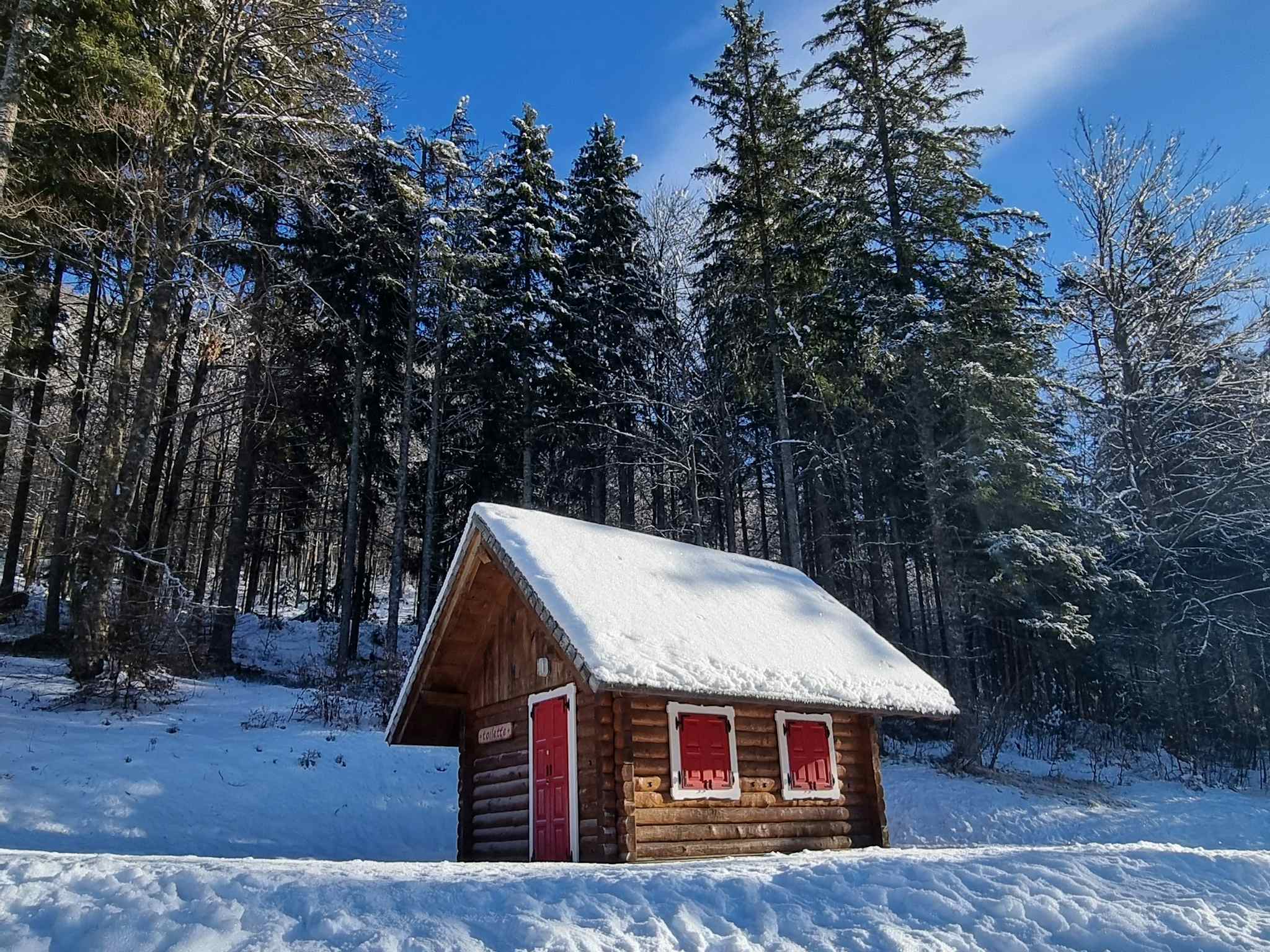 Snow covered hut backed by forest by Fusine Lake, Italy