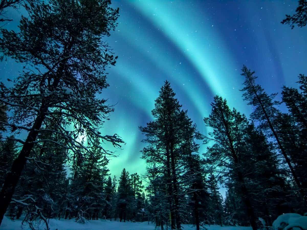 Northern lights above the forest in Lapland, Finland.