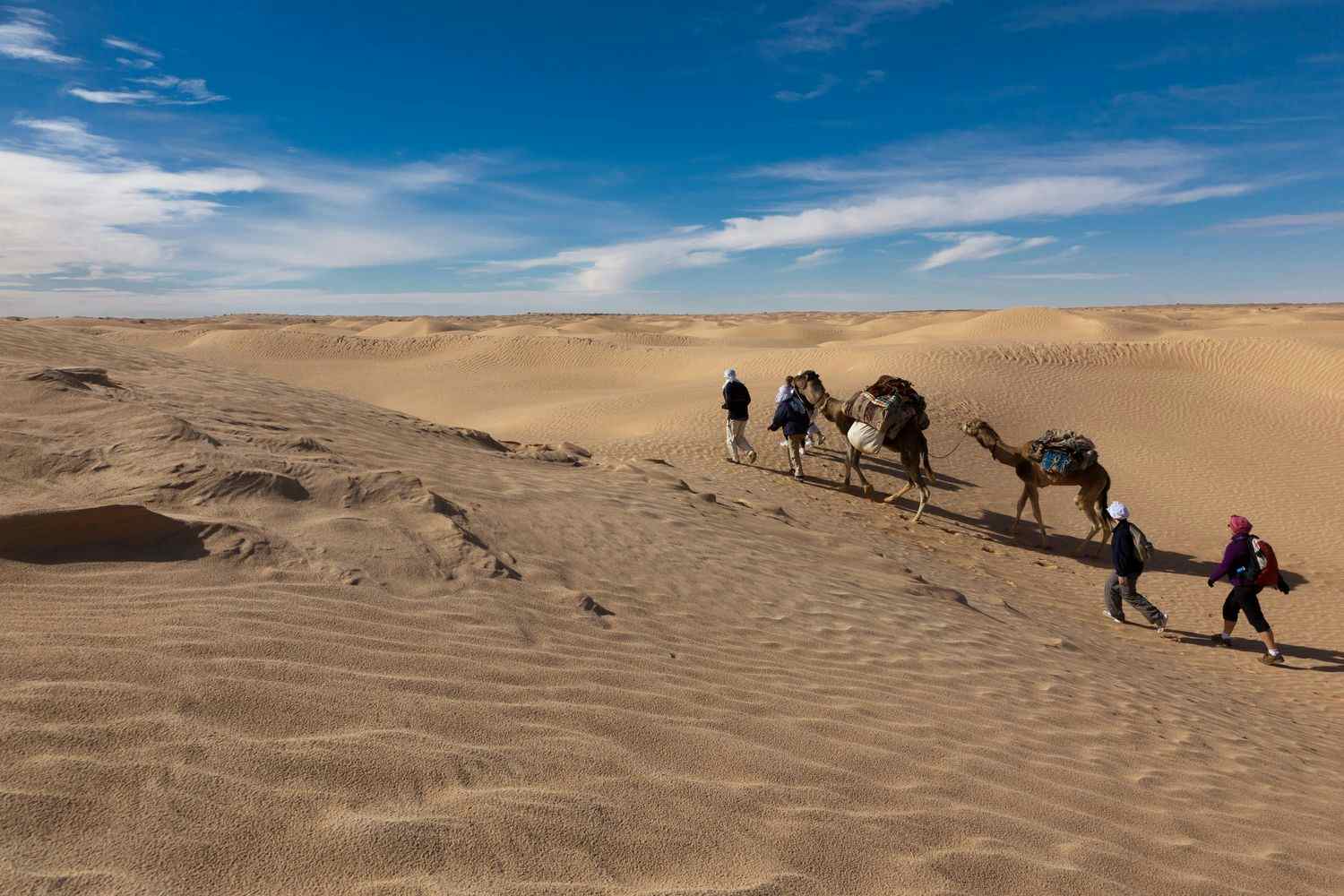 Sabria Douz Sahara landscape, Tunisia