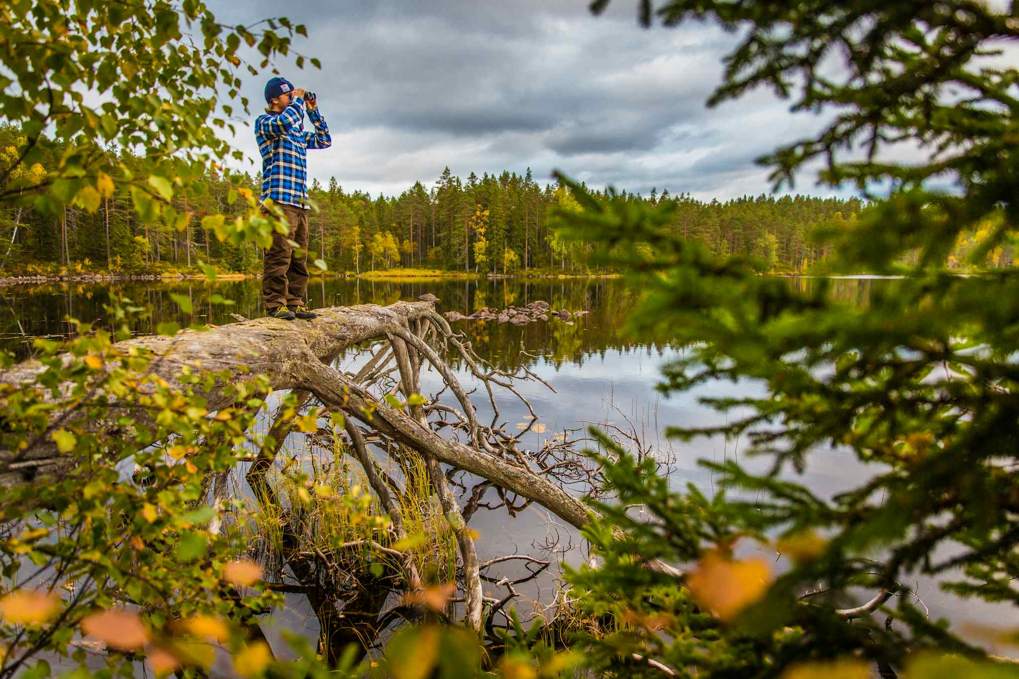 Wildlife spotting, Sweden. Photo: Marcus Westberg