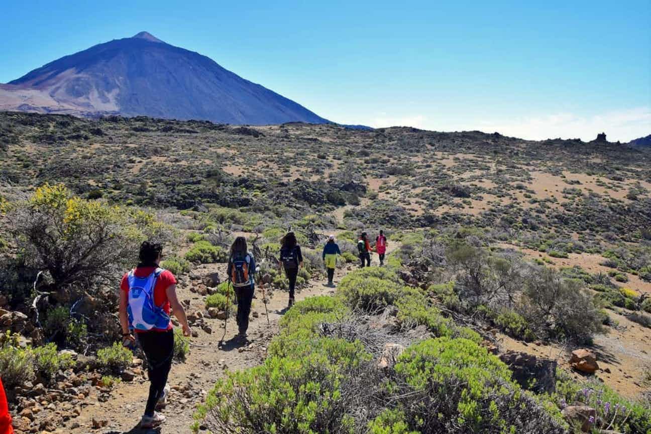People hiking across Teide National Park towards a volcano 