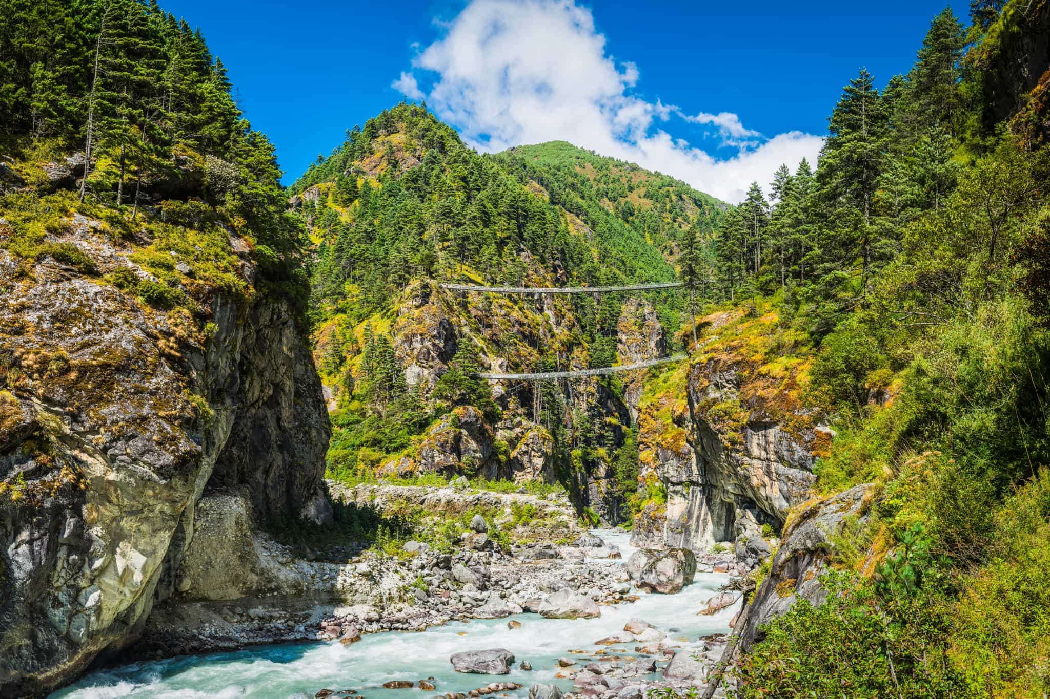 Two suspension bridges cross the river surrounded by forest in Nepal