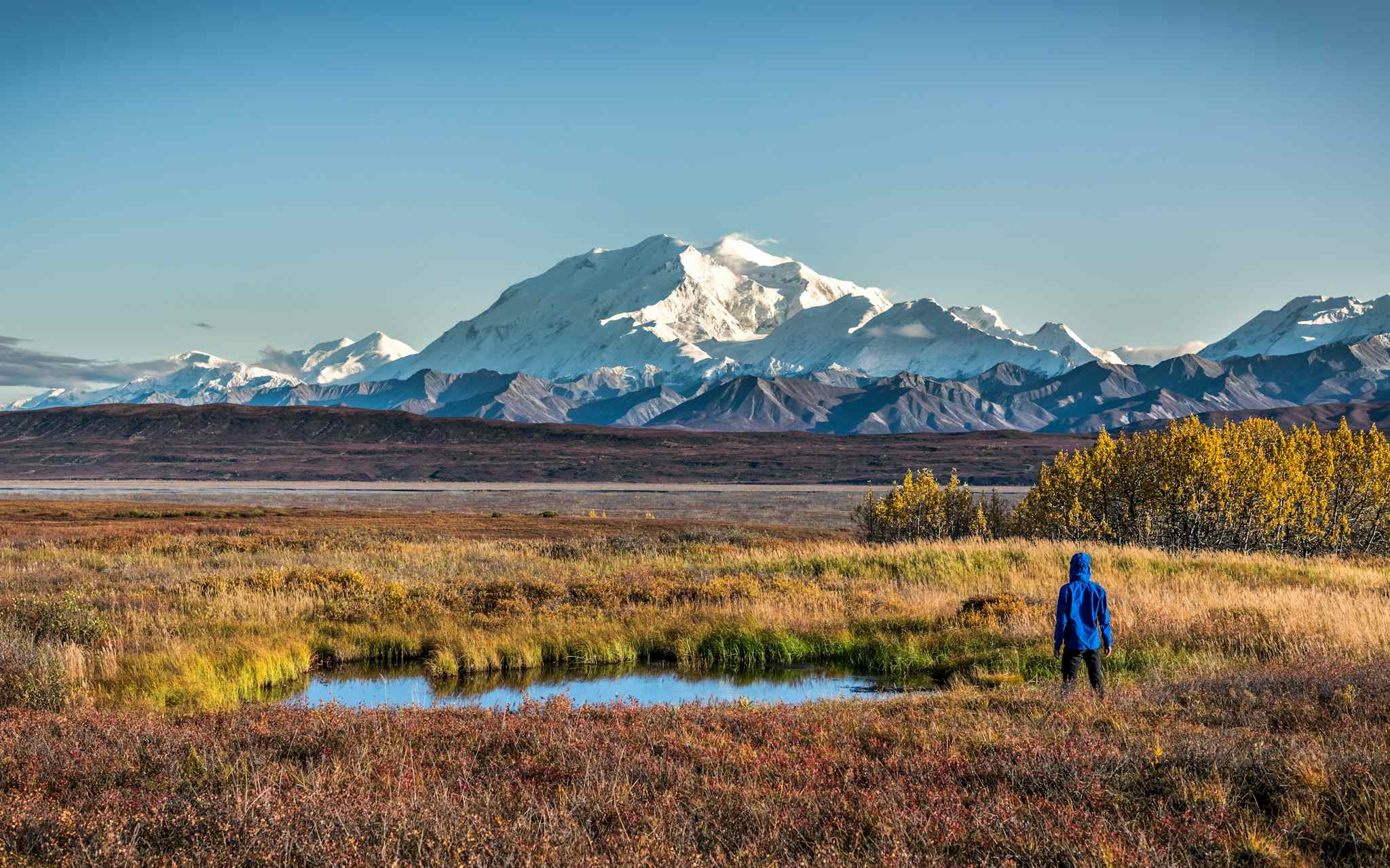 Hiking in Denali National Park, Alaska, USA
Shutterstock: 1887234592
