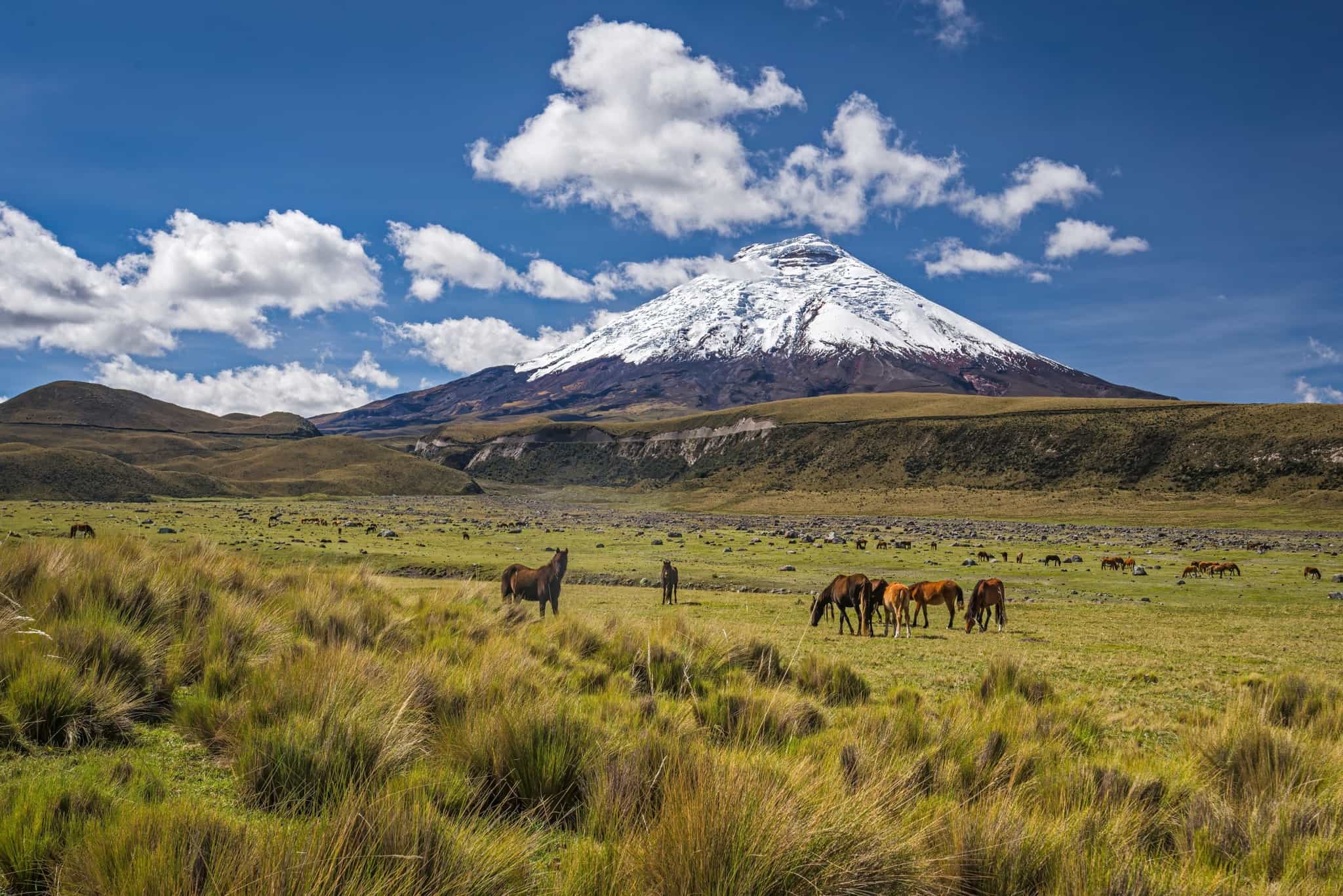 View of Cotopaxi Volcano in Cotopaxi National Park, Ecuador 