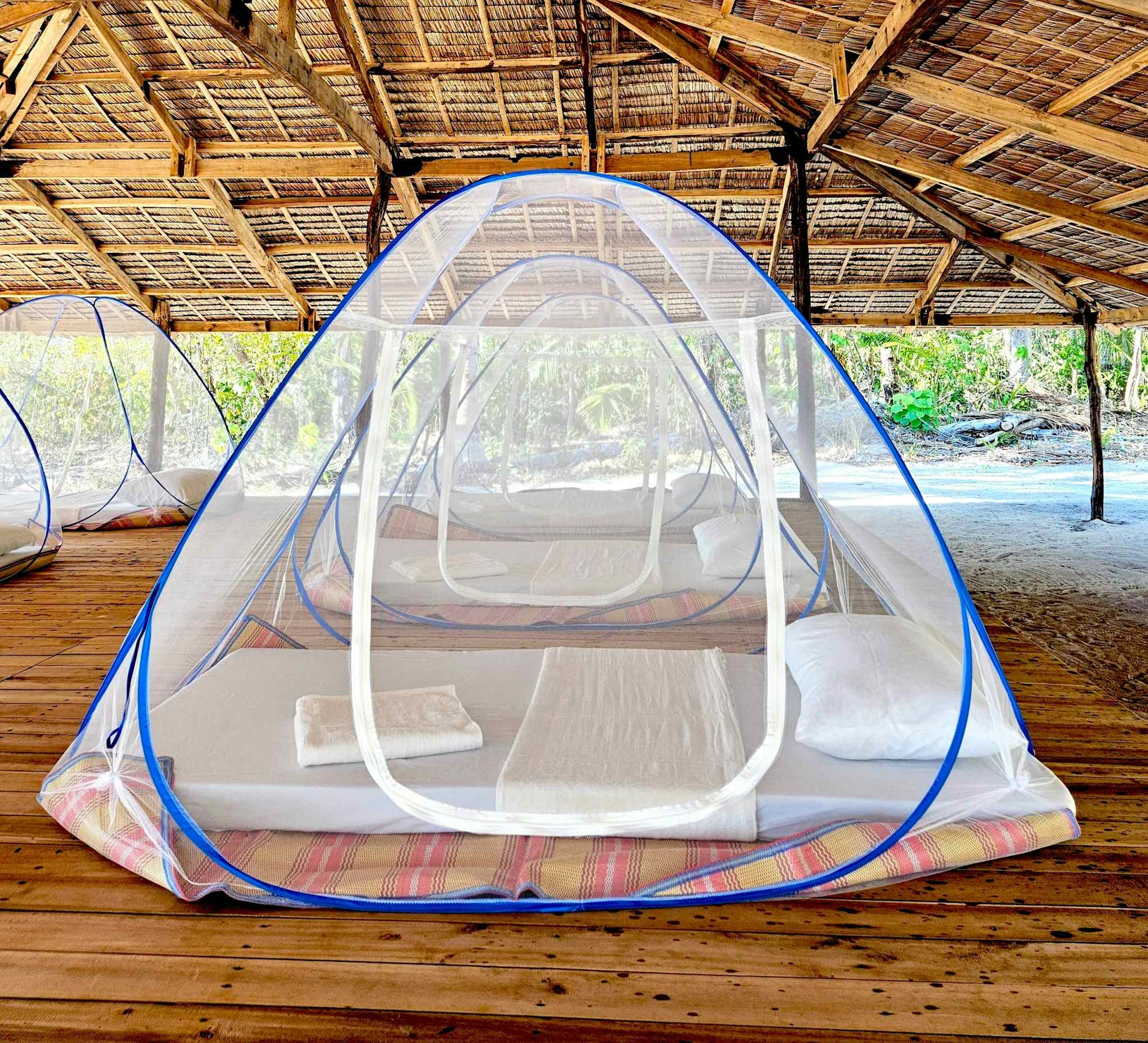 Clear mesh tents under a thatched roof on a wooden flooring on the beach