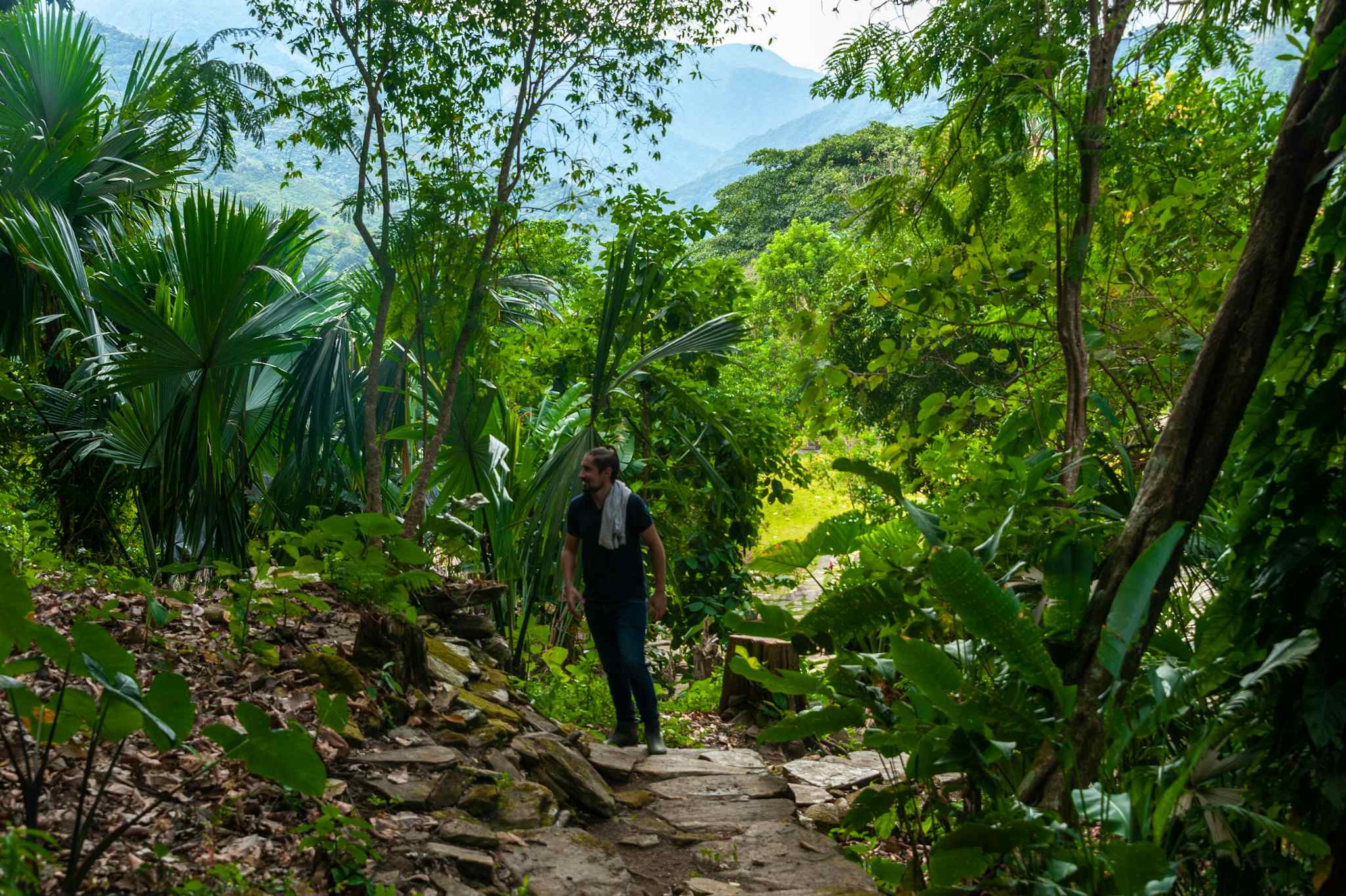 Trek, Jungle, Ciudad Antigua, Minca, Colombia, Kagumu
