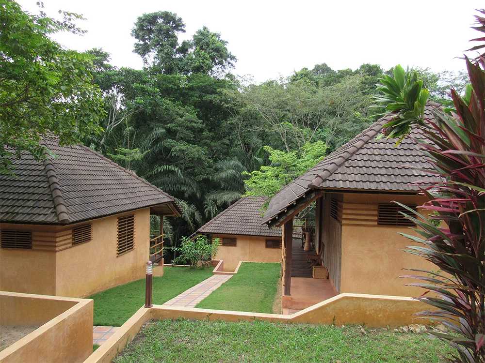 Ankasa Reserve Lodge, Ghana. 