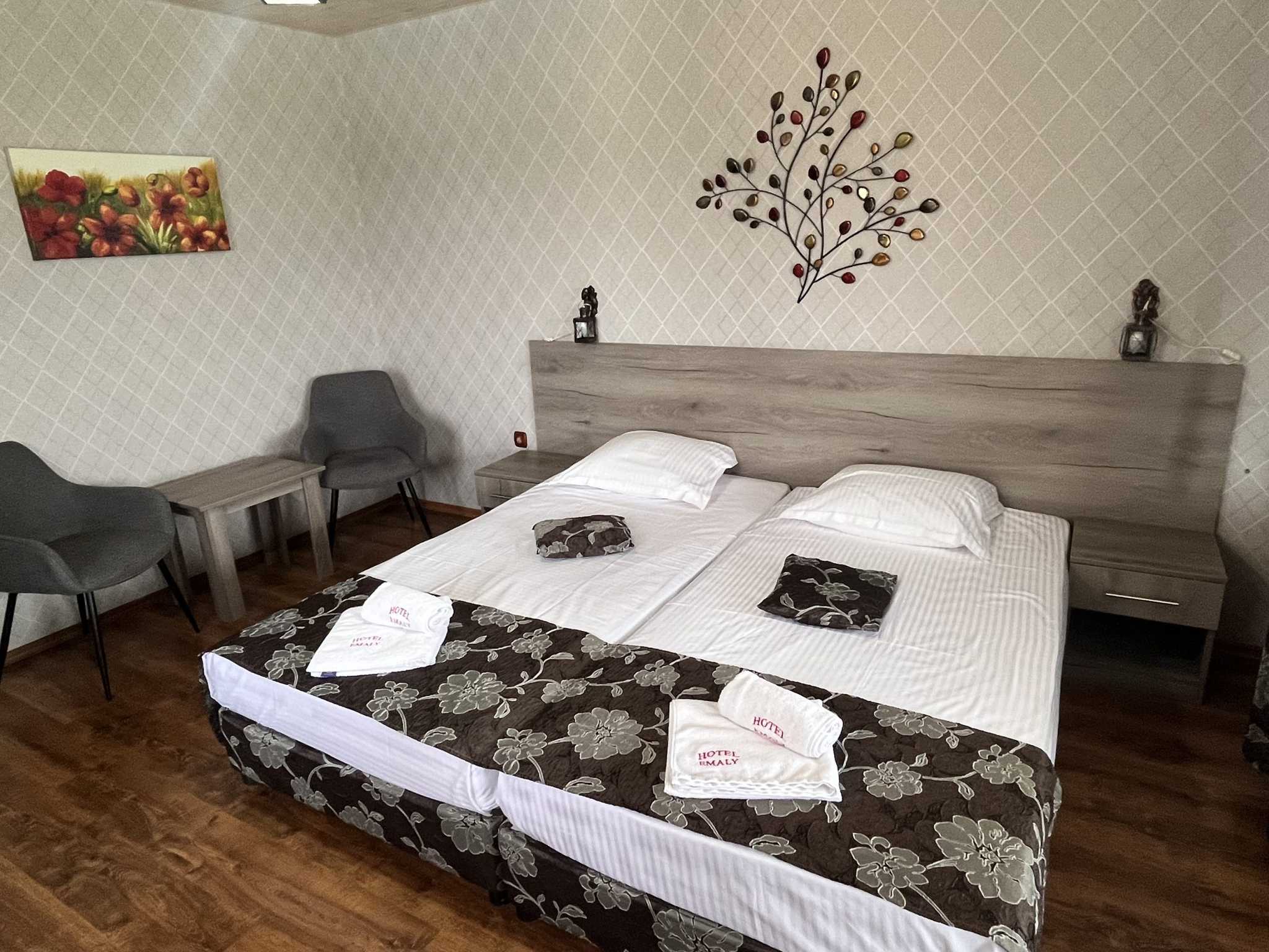 Twin room Hotel Emaly, Sapareva Banya