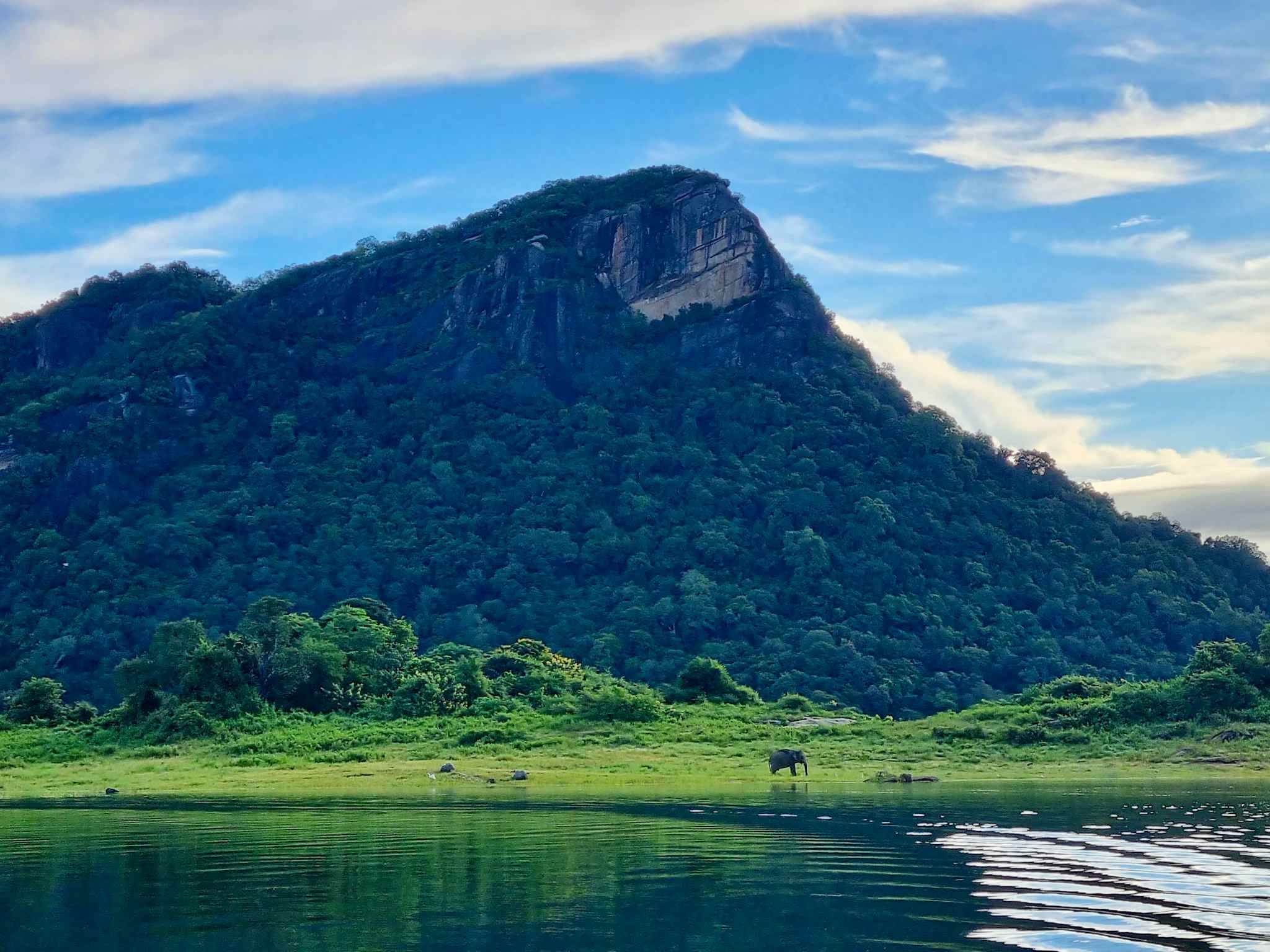 Views of forested mountains and an elephant by the river in Sri Lanka.