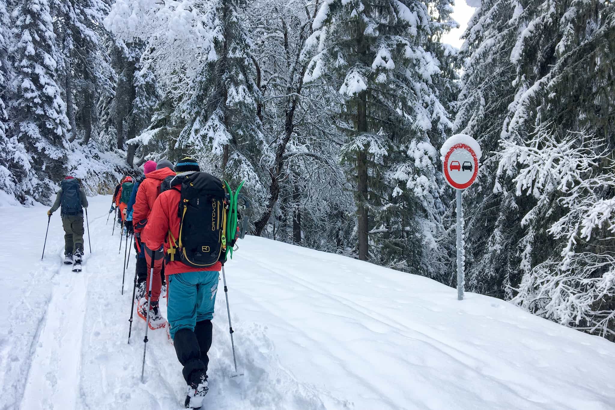 Group snowshoeing in the forest in Bulgaria