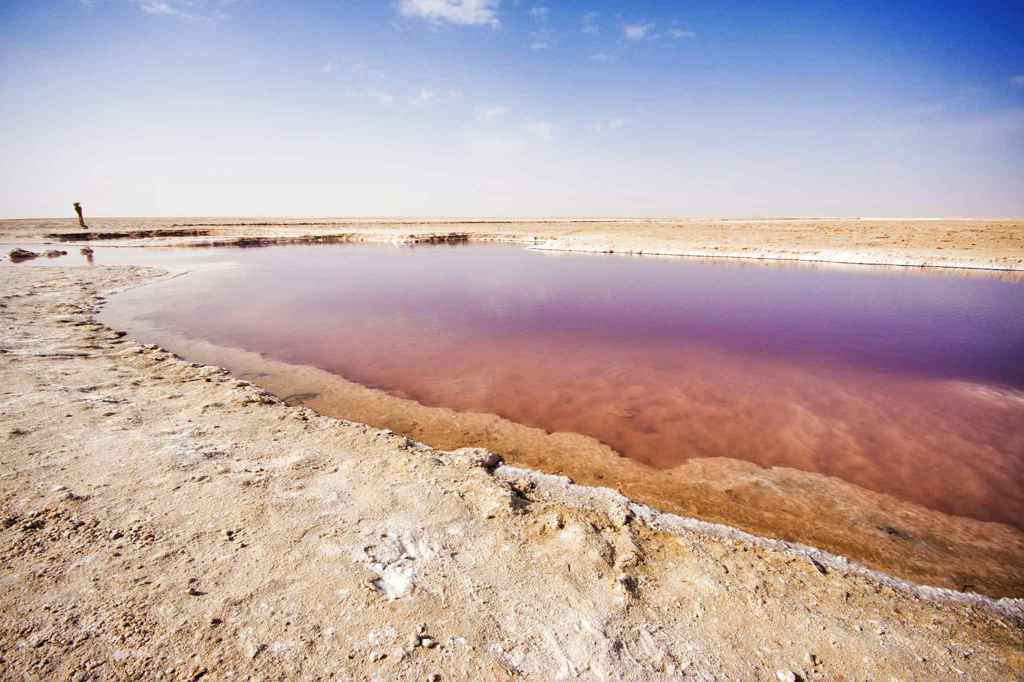 Chott el Djerid, a salt lake in Tunisia with pink and purple waters.