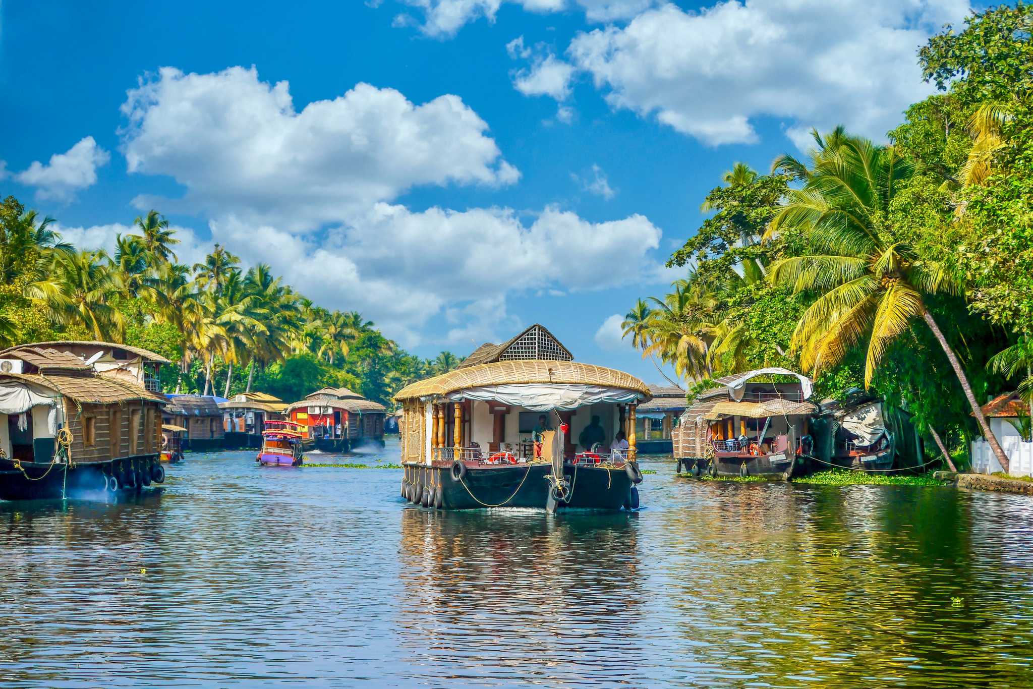 Keralan backwaters, India. 