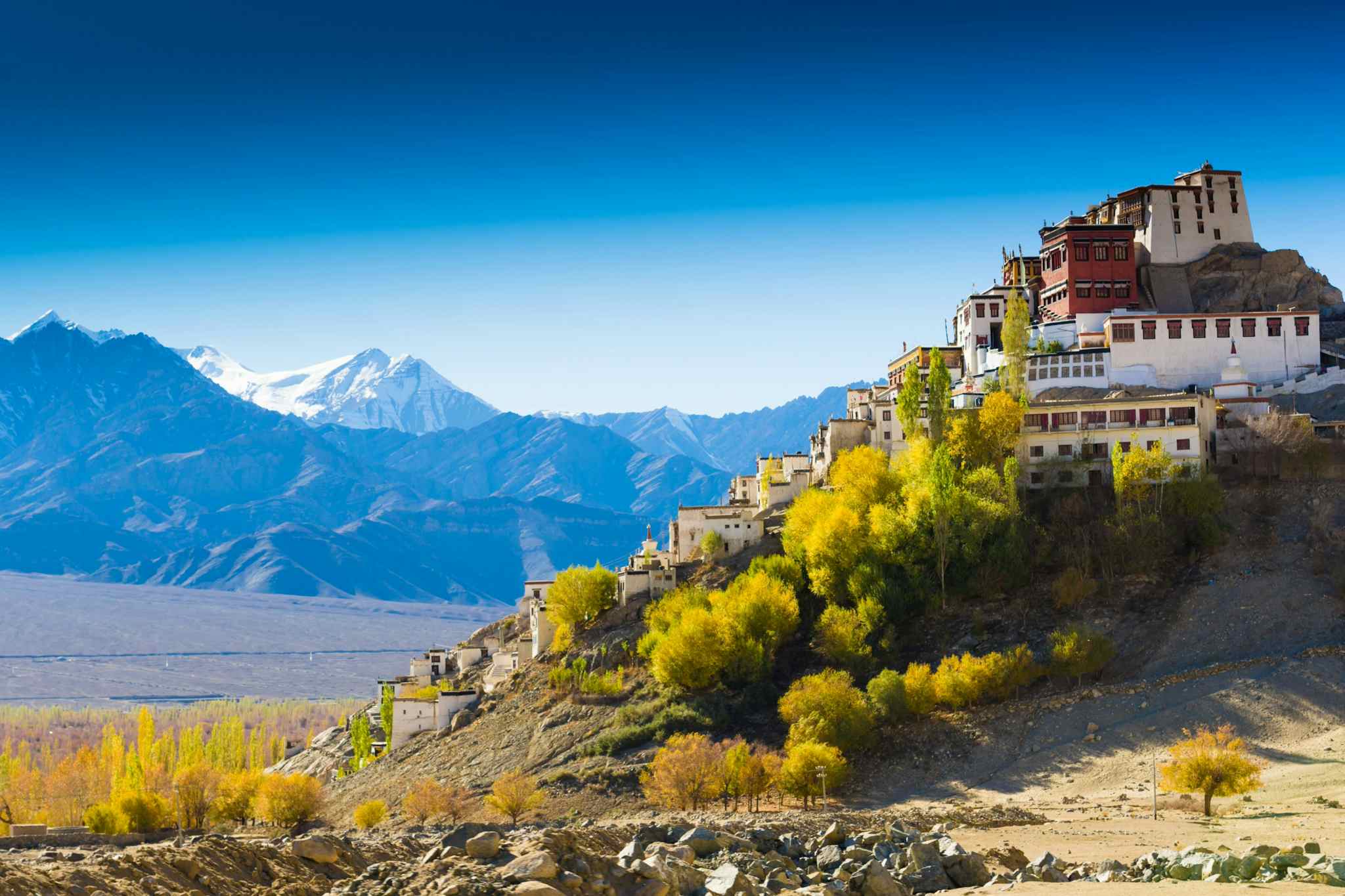 Buildings of Leh with high mountain backdrop in Ladakh, India