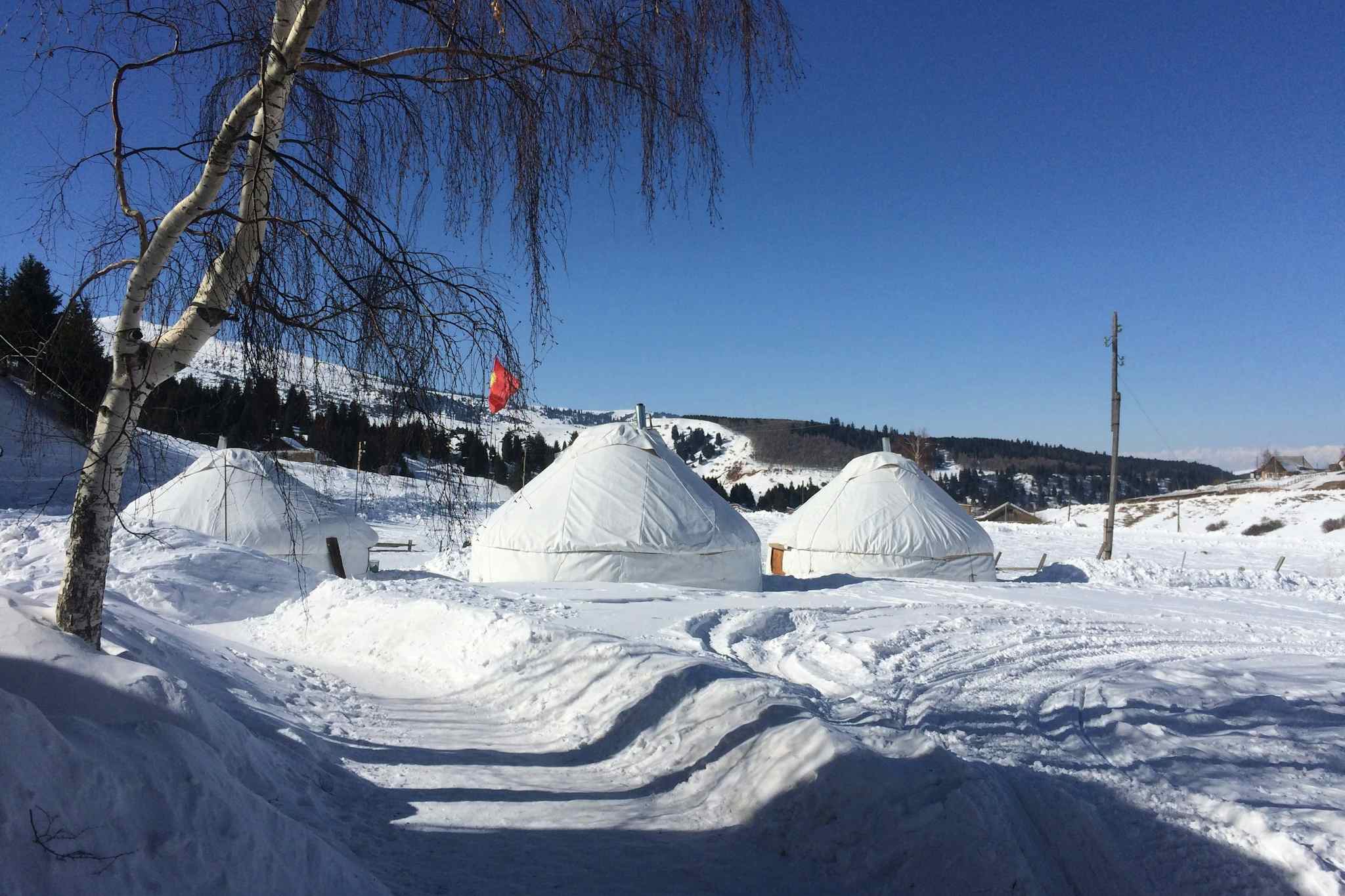 Three yurts in the snow at the Jyrgalan winter yurt camp, Kyrgyzstan