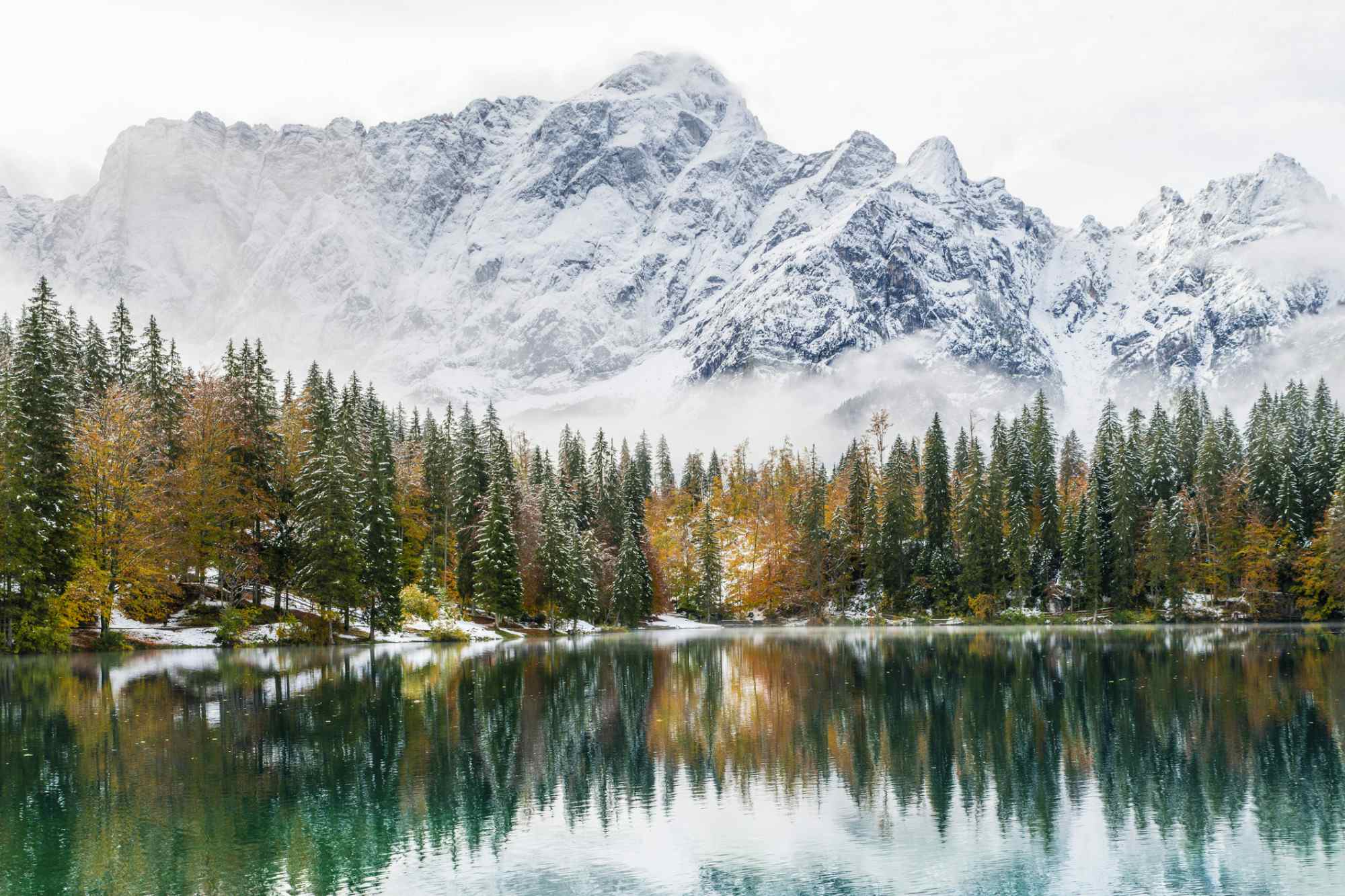 Snowy mountains and pine trees mirrored in Fusine Lake, Italy