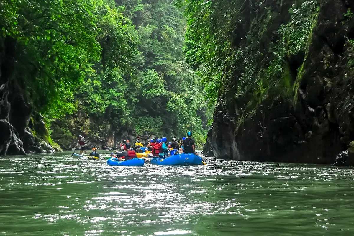 two blue rafts floating on the Pacuare river surrounded by jungle vegetation