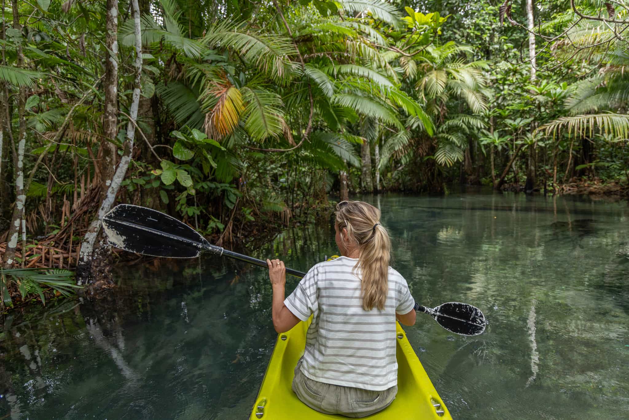 Woman kayaking through the mangroves in Costa Rica 