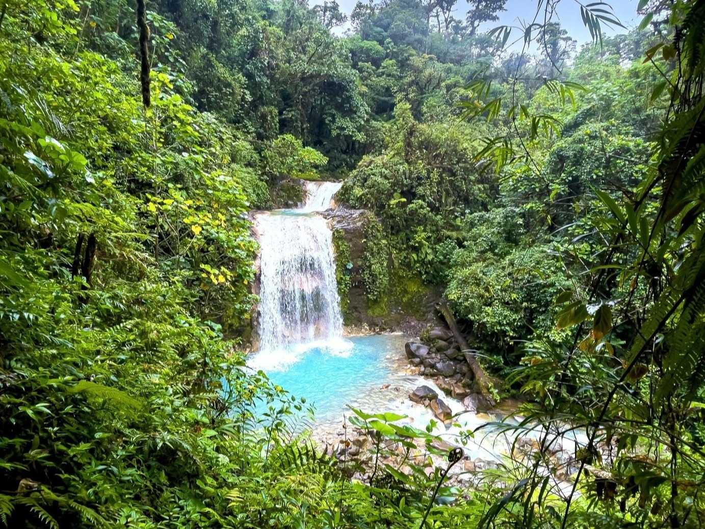 aerial view of the Costa Rica Waterfall in bajos de Toro, with turquoise water in the middle of the rain forest 