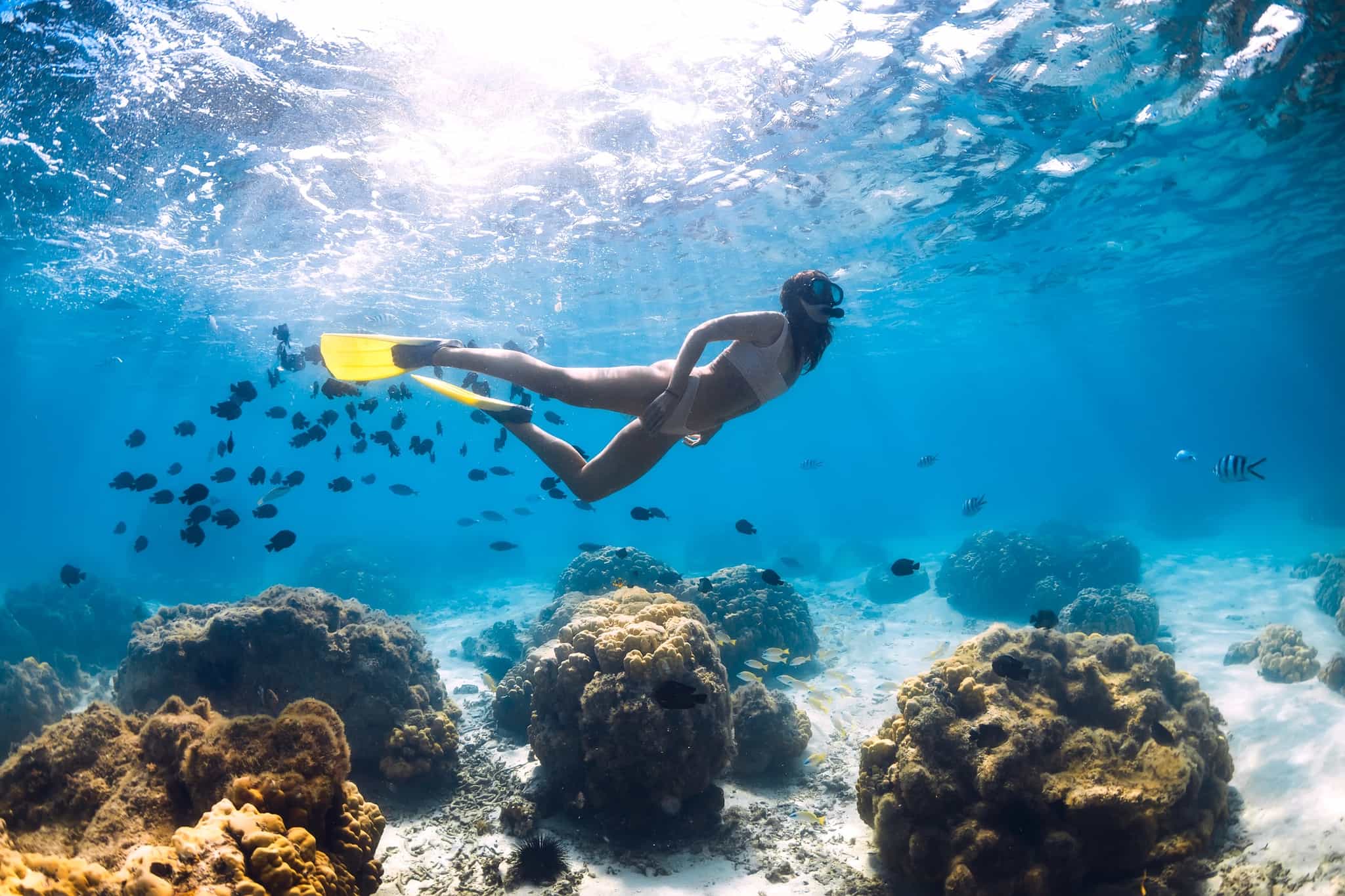 Girl snorkelling glides with school of fishes in blue ocean 