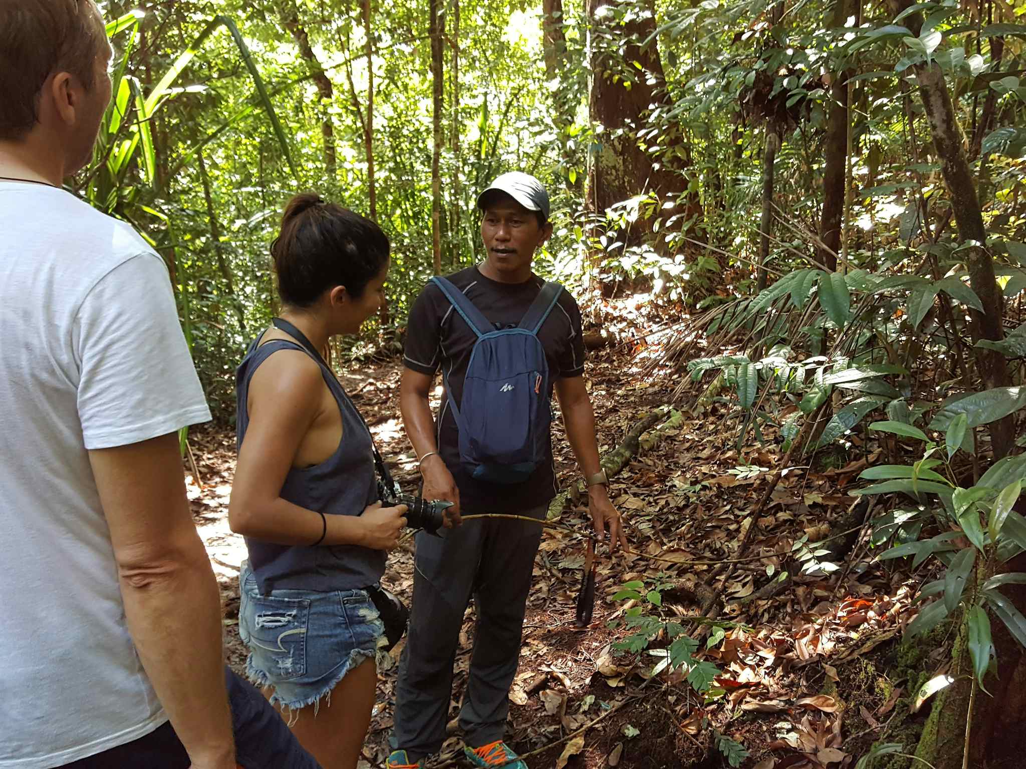 Bako, Wildlife Adventure in the Jungles of Borneo