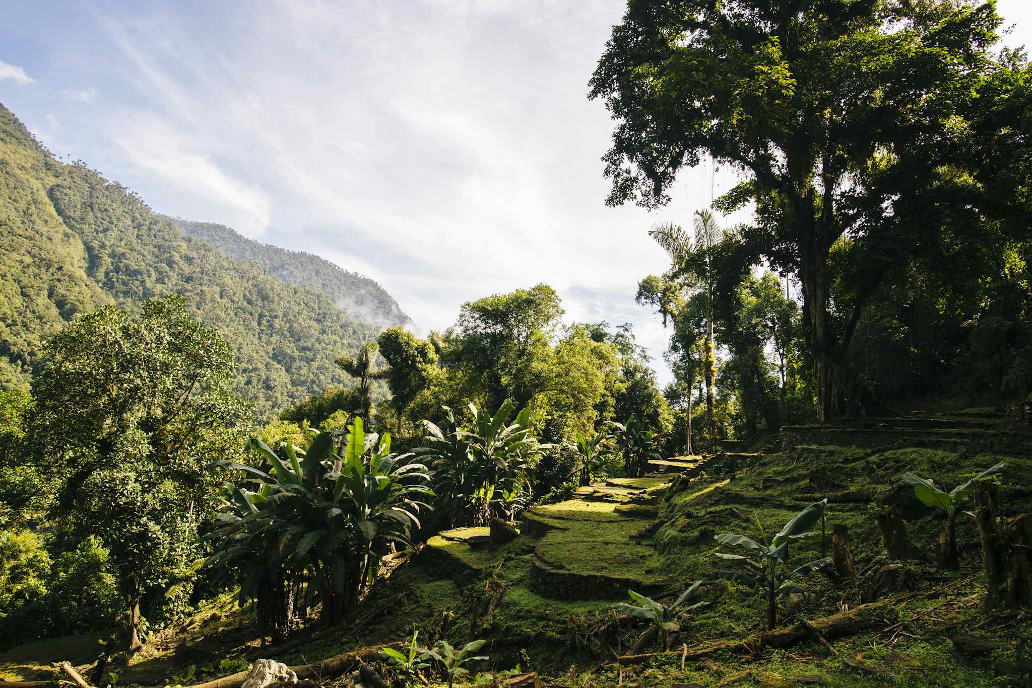 The Best Hikes in Colombia  Medellín, the Lost City and More…