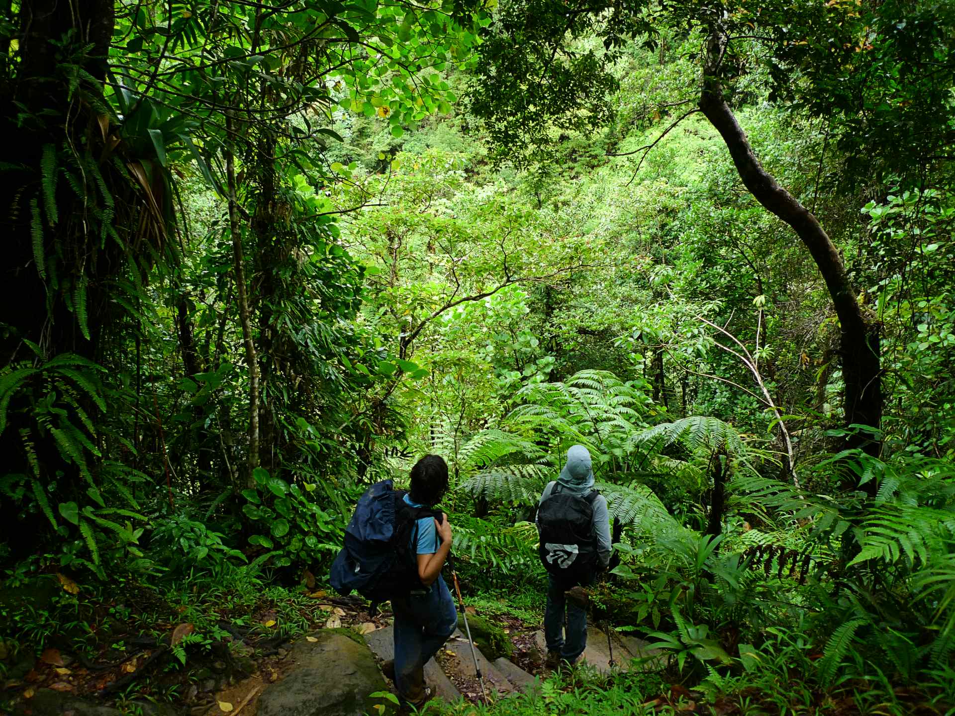 Waitukubuli National Trail, Dominica. Photo: Host/Jungle Trekking and Adventure Safaris