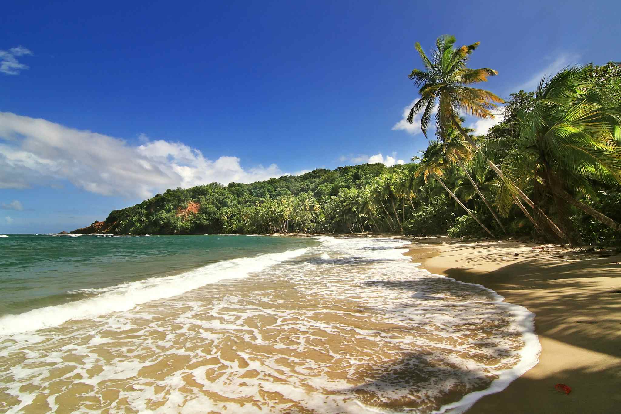 Dominica beach. Photo: GettyImages-535228947