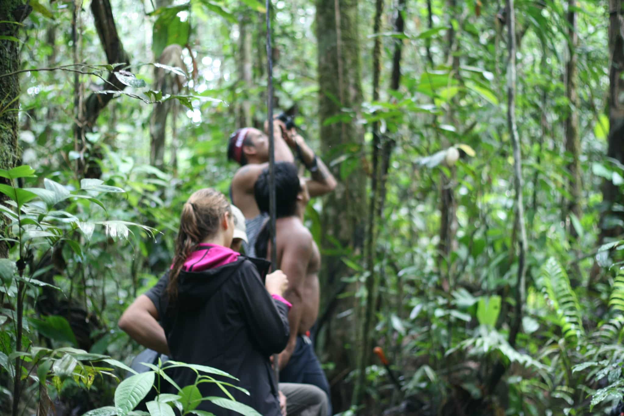 Trekkers in the Amazon jungle with local guides in Ecuador.